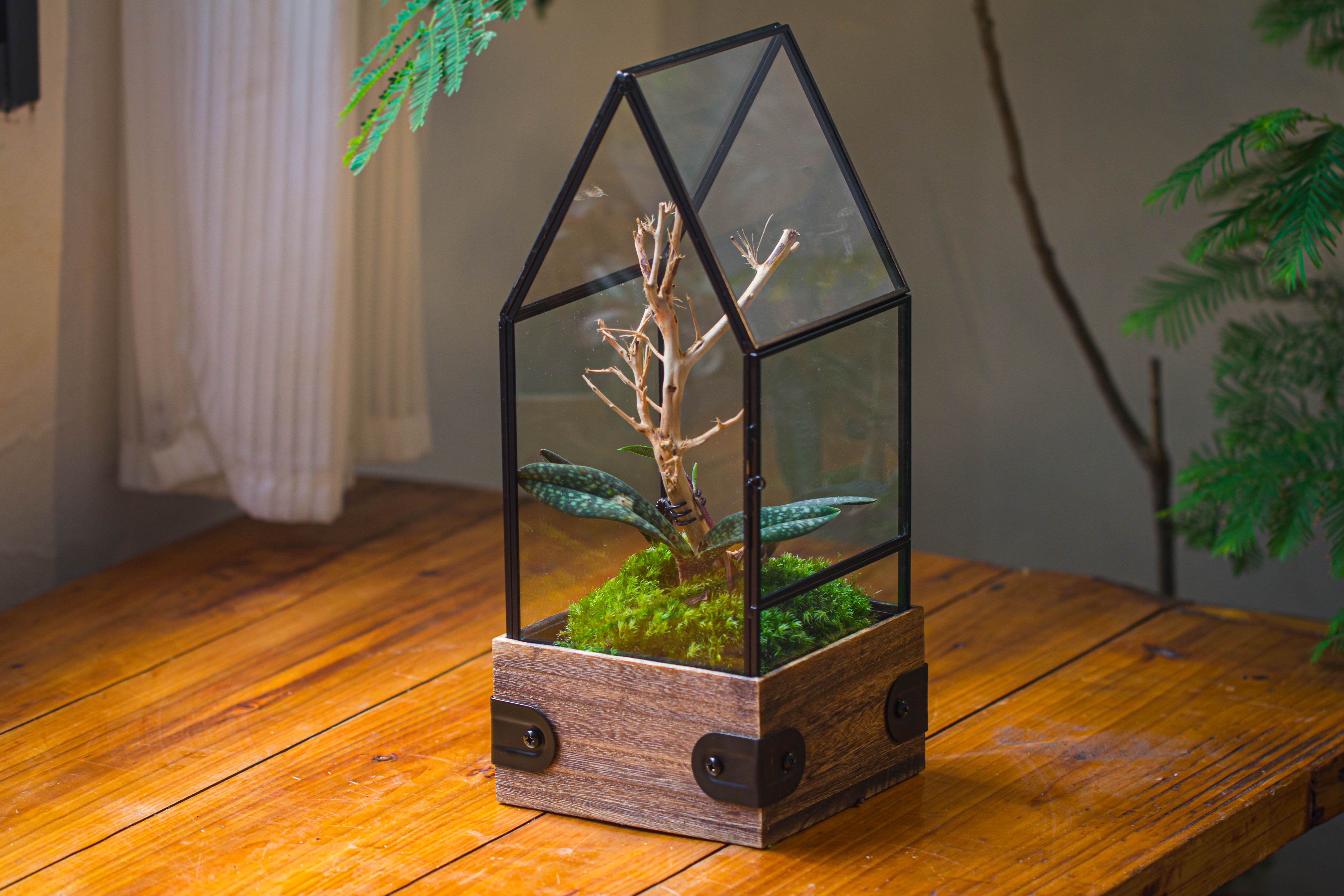 Handmade Glass Terrarium with Wood Base, House Shape Planter with Door, with LED Wood Lamp Base for Plants, Moss Landscapes, Plant Lover Gift - NCYPgarden