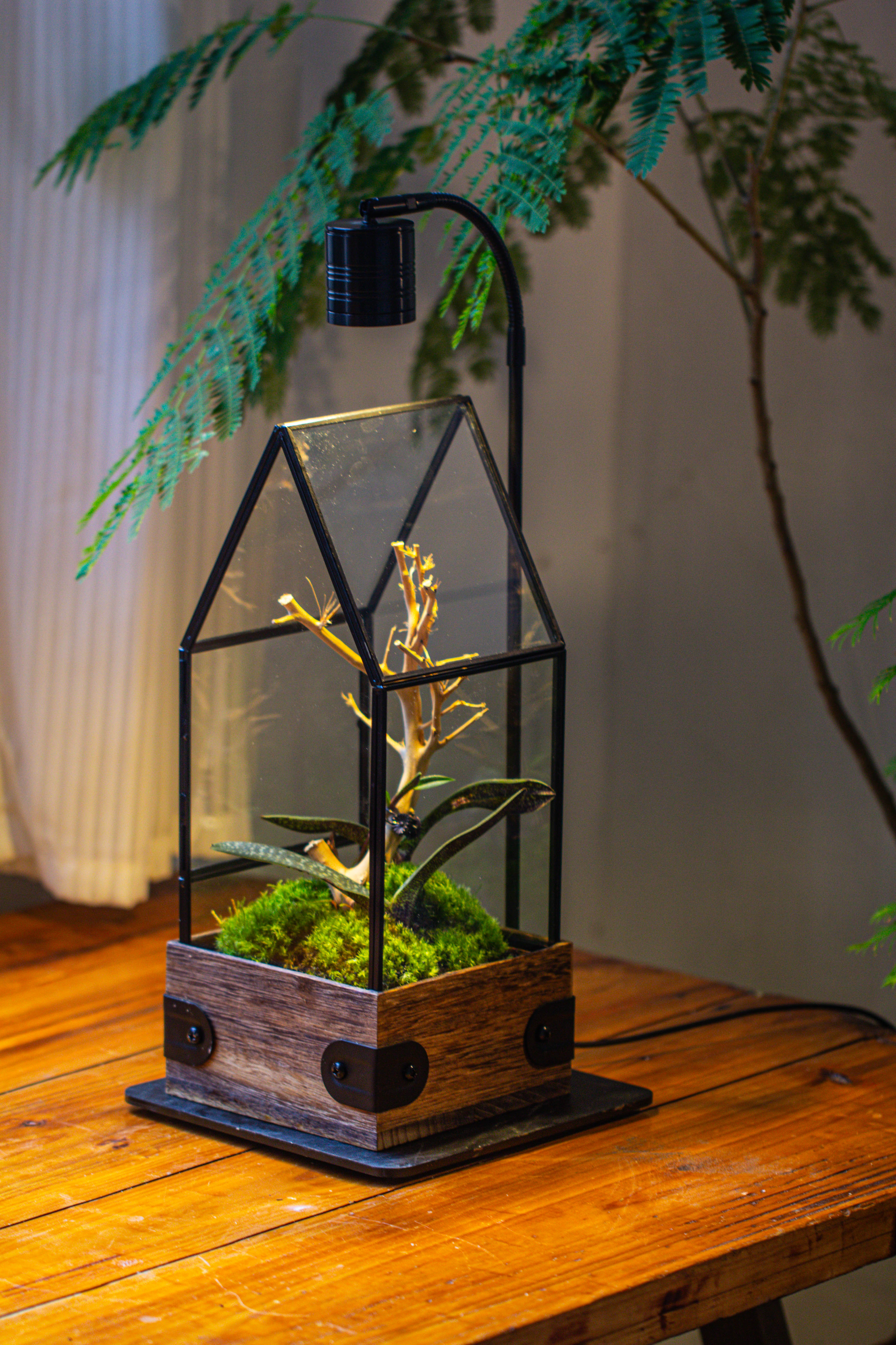 Handmade Glass Terrarium with Wood Base, House Shape Planter with Door, with LED Wood Lamp Base for Plants, Moss Landscapes, Plant Lover Gift - NCYPgarden