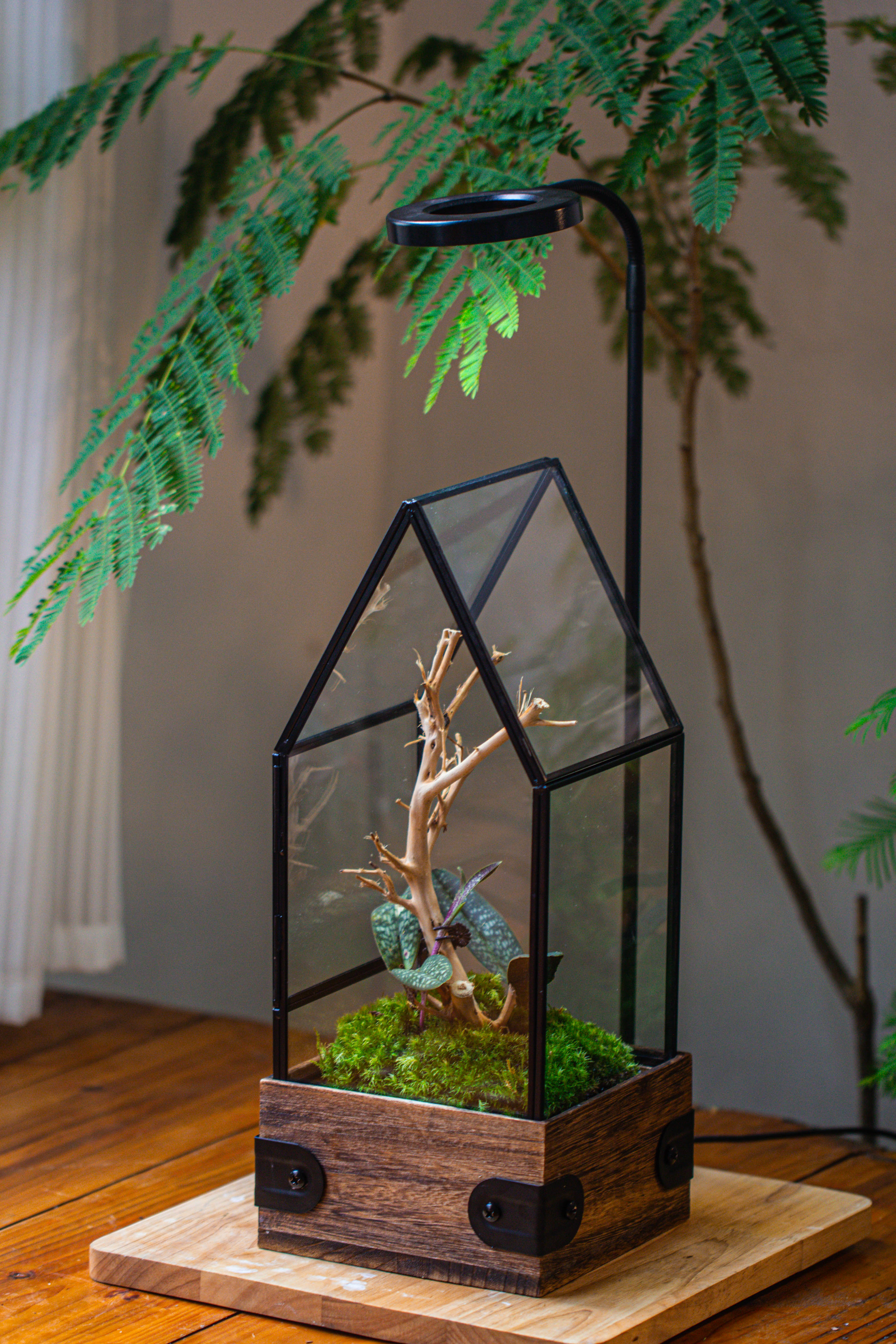 Handmade Glass Terrarium with Wood Base, House Shape Planter with Door, with LED Wood Lamp Base for Plants, Moss Landscapes, Plant Lover Gift - NCYPgarden