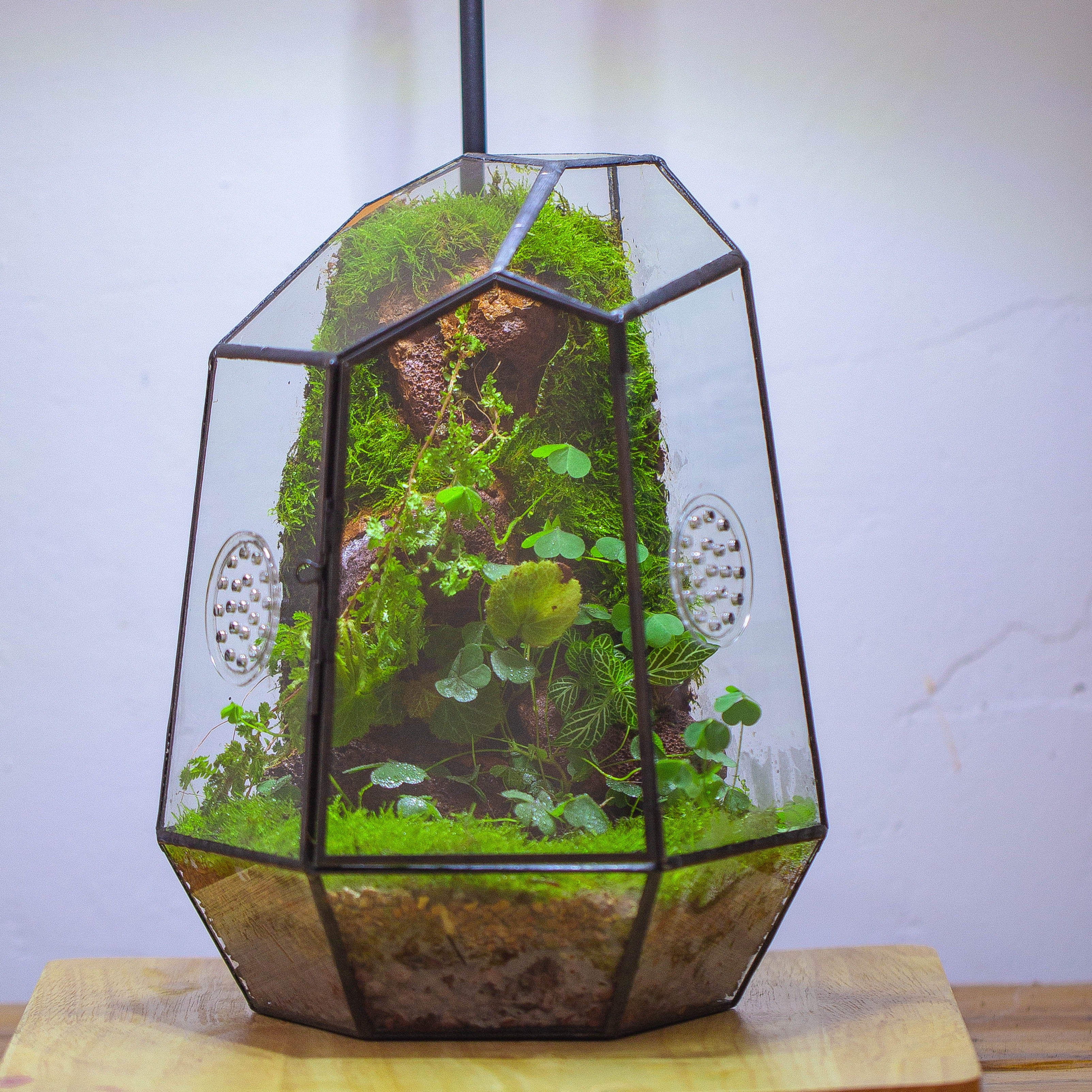 NCYP Close Geometric Glass Terrarium with Door, Tin Sealed Irregular Tall Planter Succulent Cacti Fern Flower Pot - NCYPgarden