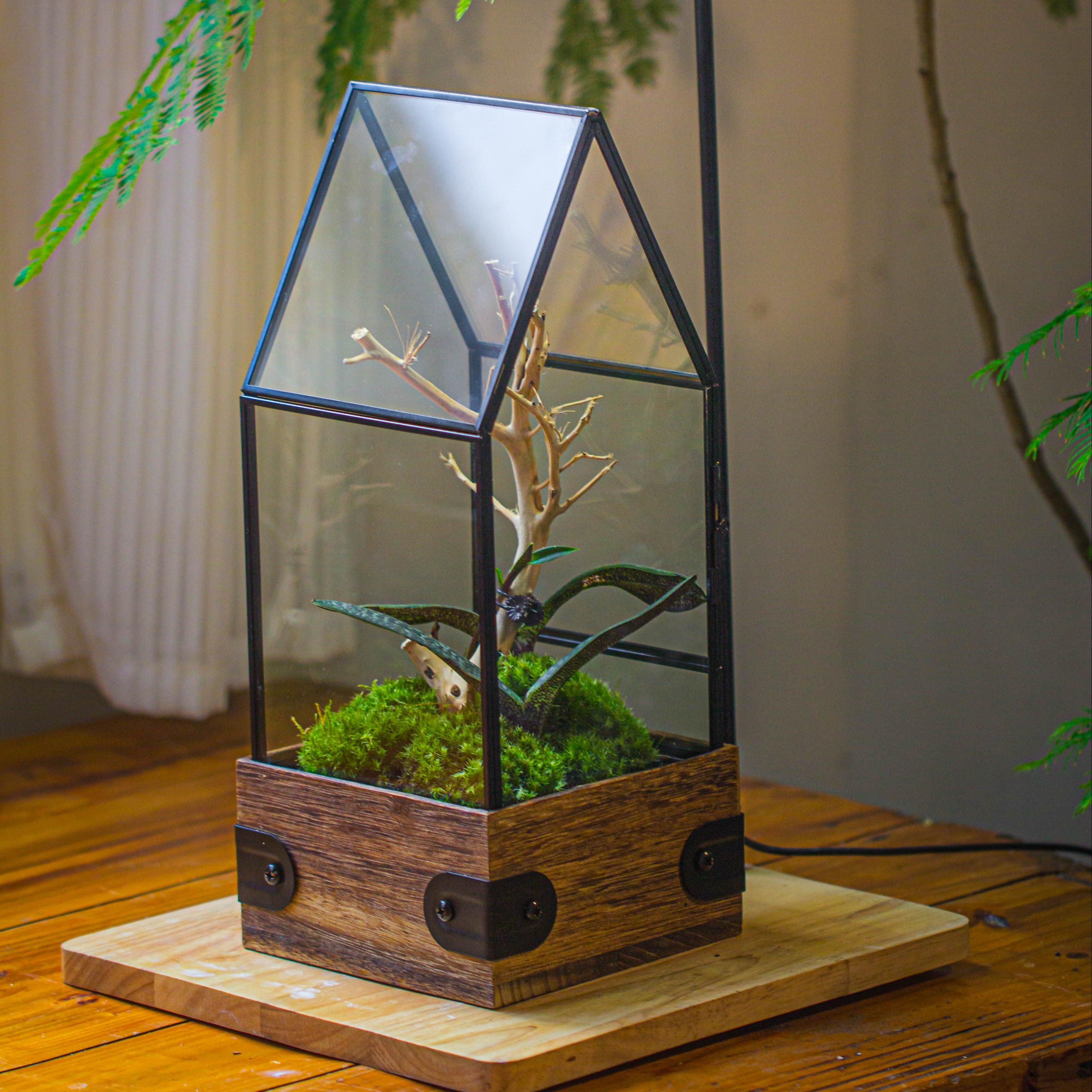 Handmade Glass Terrarium with Wood Base, House Shape Planter with Door, with LED Wood Lamp Base for Plants, Moss Landscapes, Plant Lover Gift - NCYPgarden