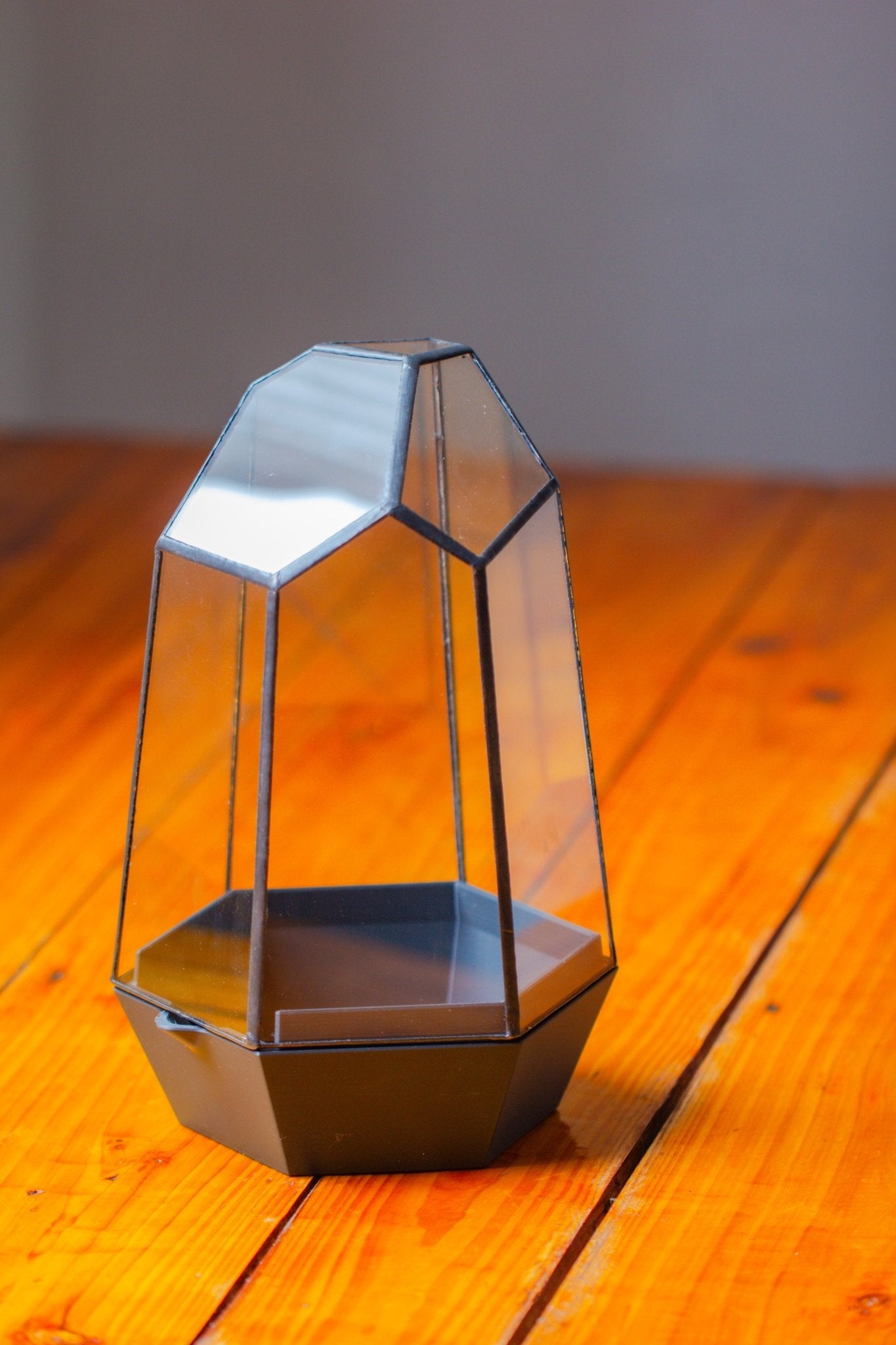 Self - Contained Close Terrarium with Waterproof Base, Geometric Glass Cover for Moss, Sundew and Venus Flytrap PG01J3 - NCYPgarden