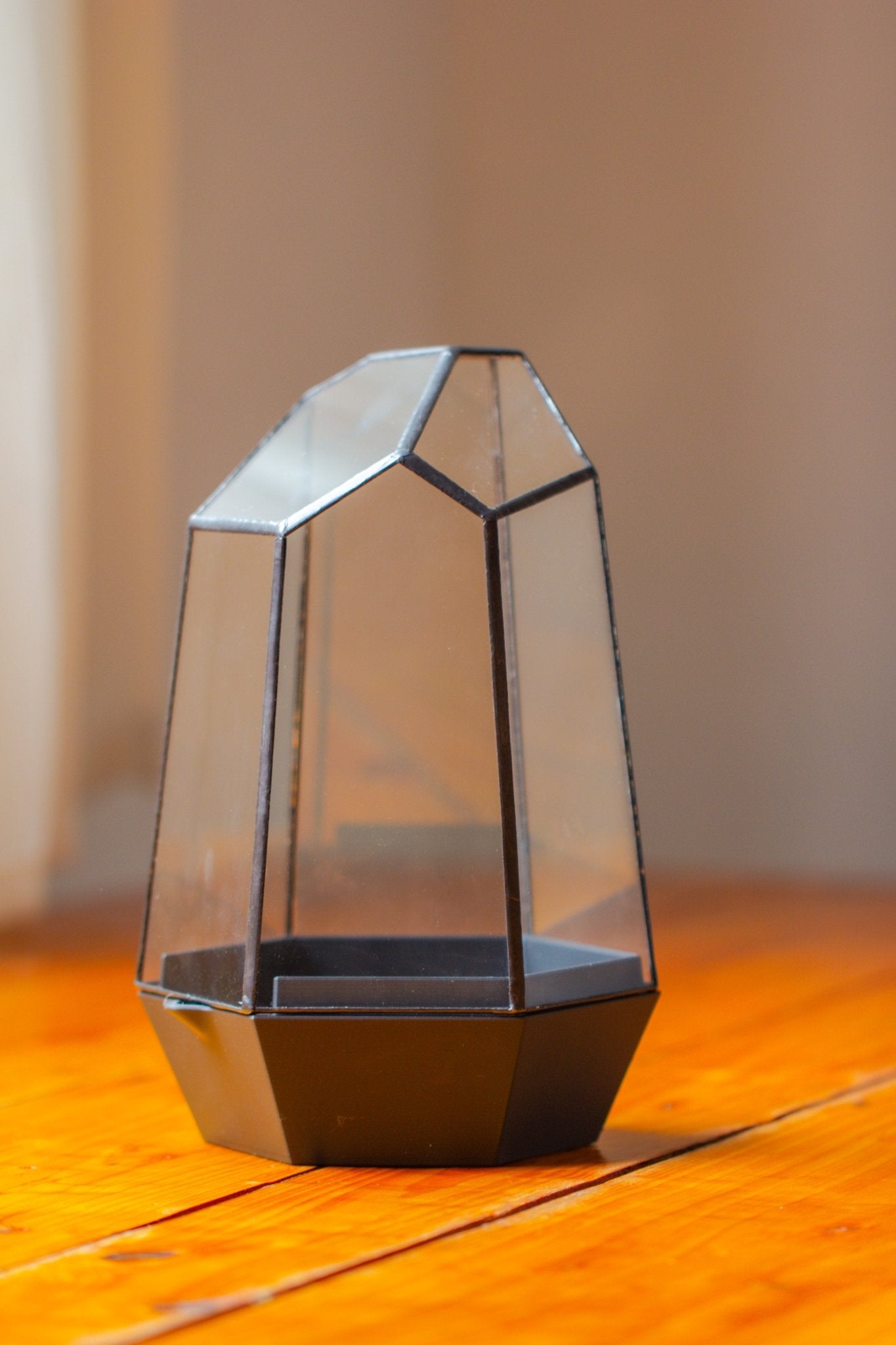 Self - Contained Close Terrarium with Waterproof Base, Geometric Glass Cover for Moss, Sundew and Venus Flytrap PG01J3 - NCYPgarden