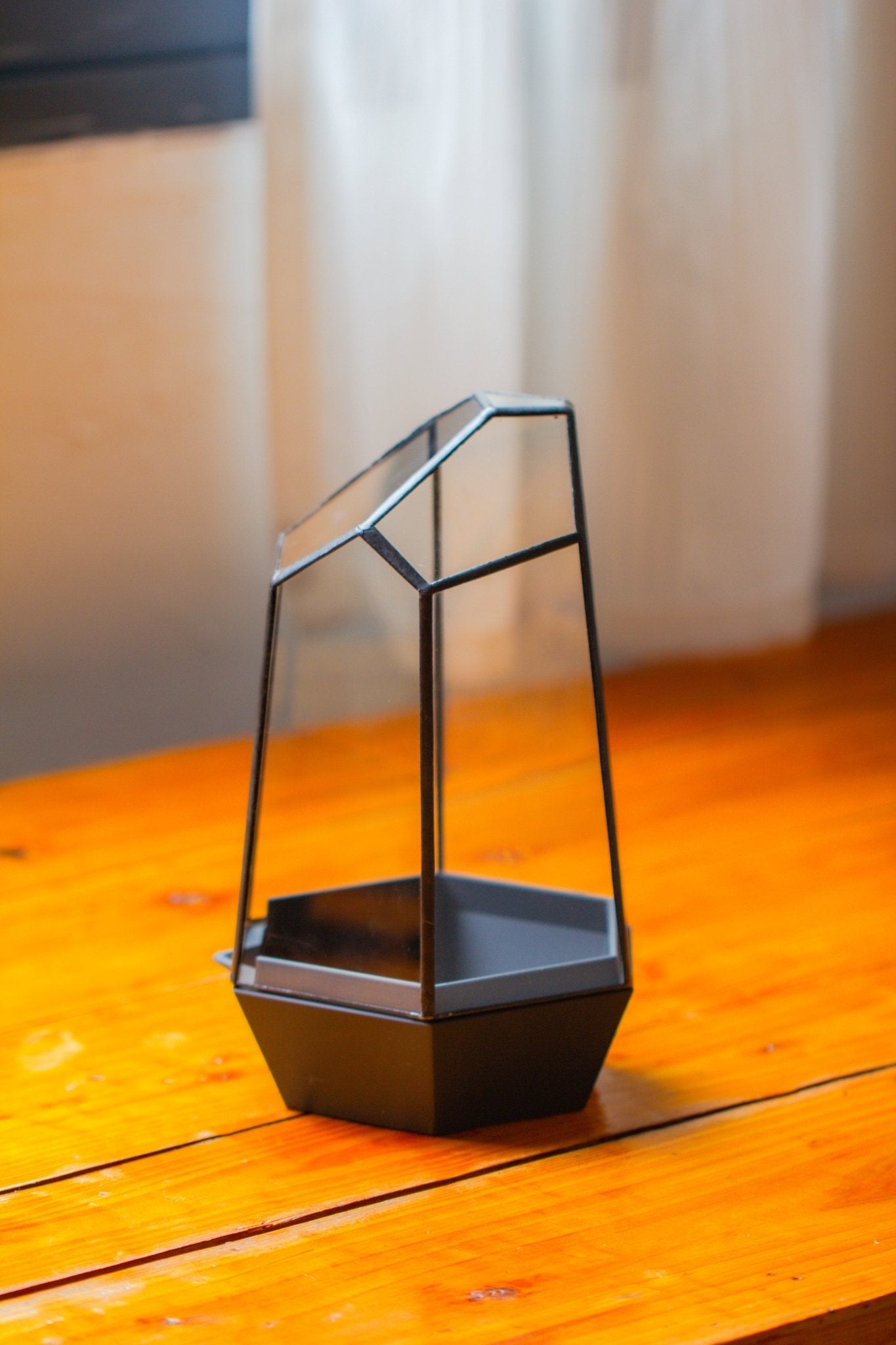 Self - Contained Close Terrarium with Waterproof Base, Geometric Glass Cover for Moss, Sundew and Venus Flytrap PG01J3 - NCYPgarden
