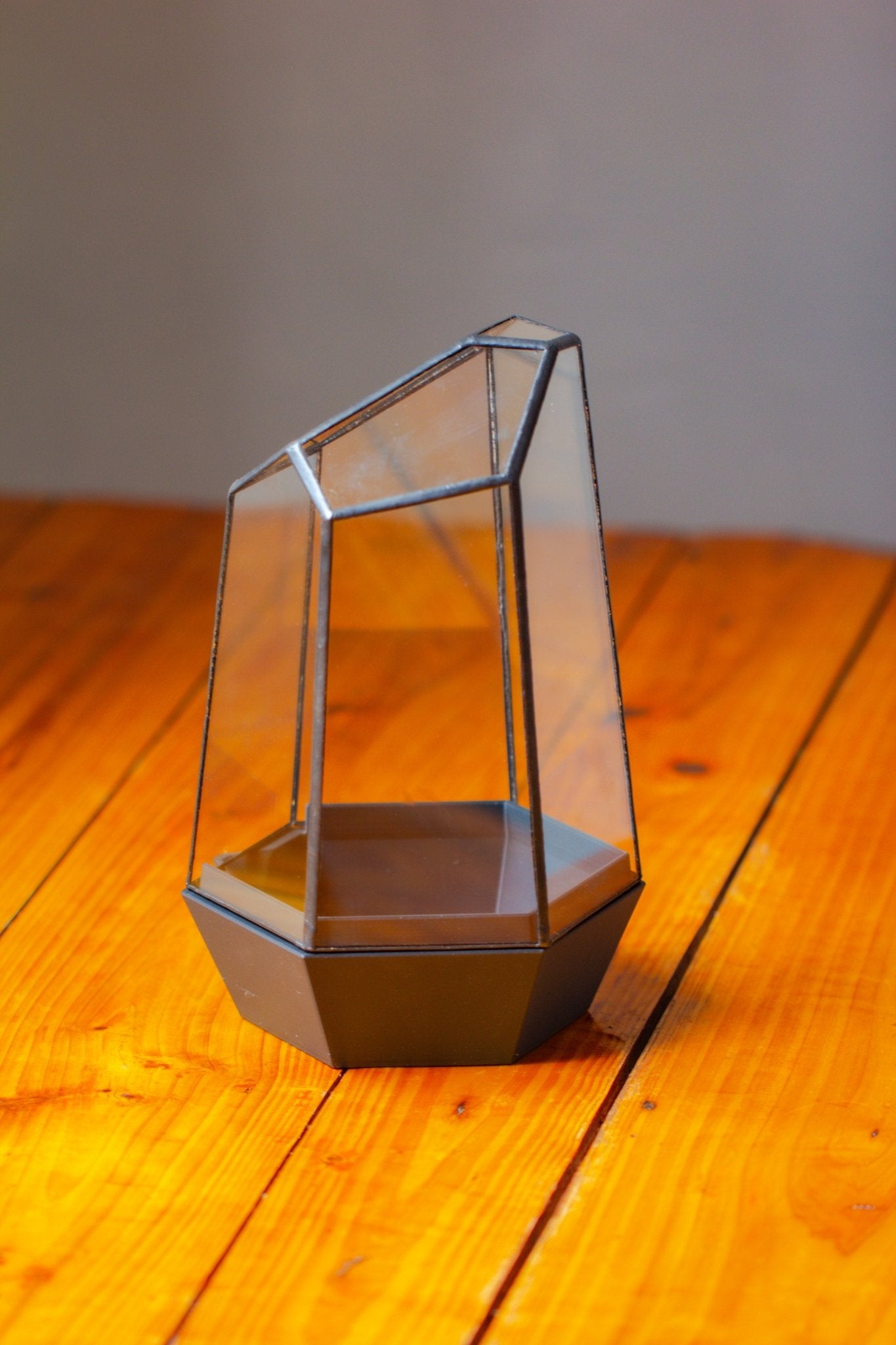 Self - Contained Close Terrarium with Waterproof Base, Geometric Glass Cover for Moss, Sundew and Venus Flytrap PG01J3 - NCYPgarden