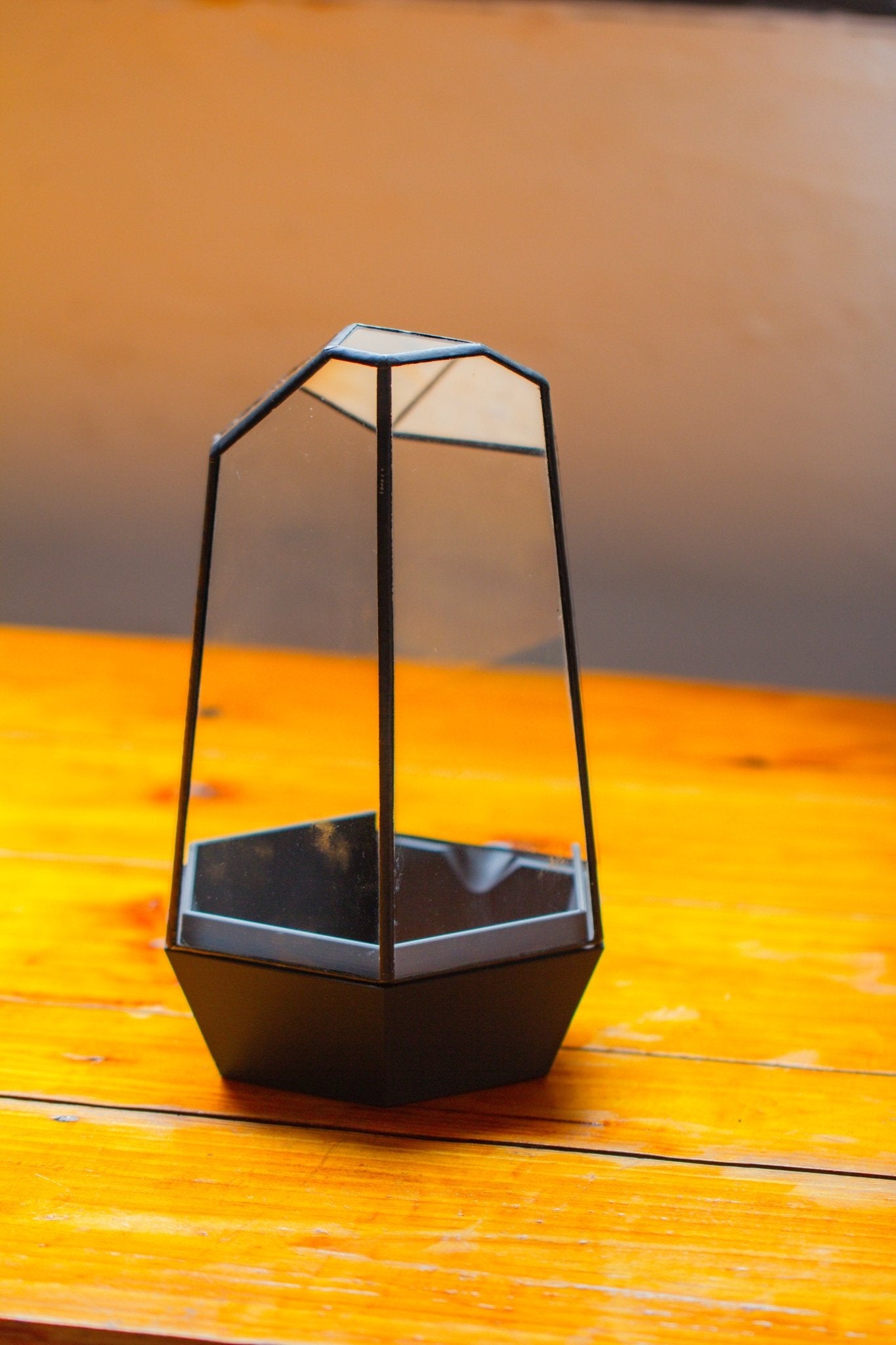 Self - Contained Close Terrarium with Waterproof Base, Geometric Glass Cover for Moss, Sundew and Venus Flytrap PG01J3 - NCYPgarden
