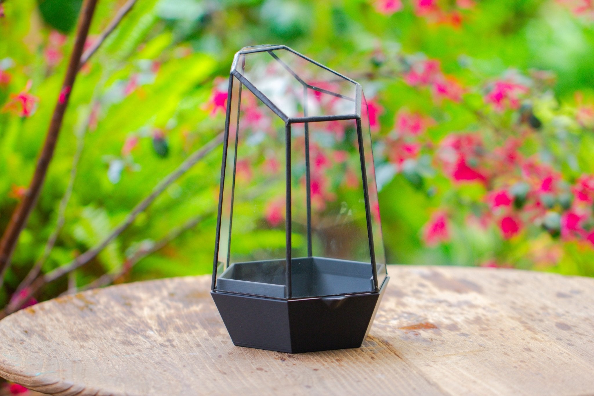 Self - Contained Close Terrarium with Waterproof Base, Geometric Glass Cover for Moss, Sundew and Venus Flytrap PG01J3 - NCYPgarden