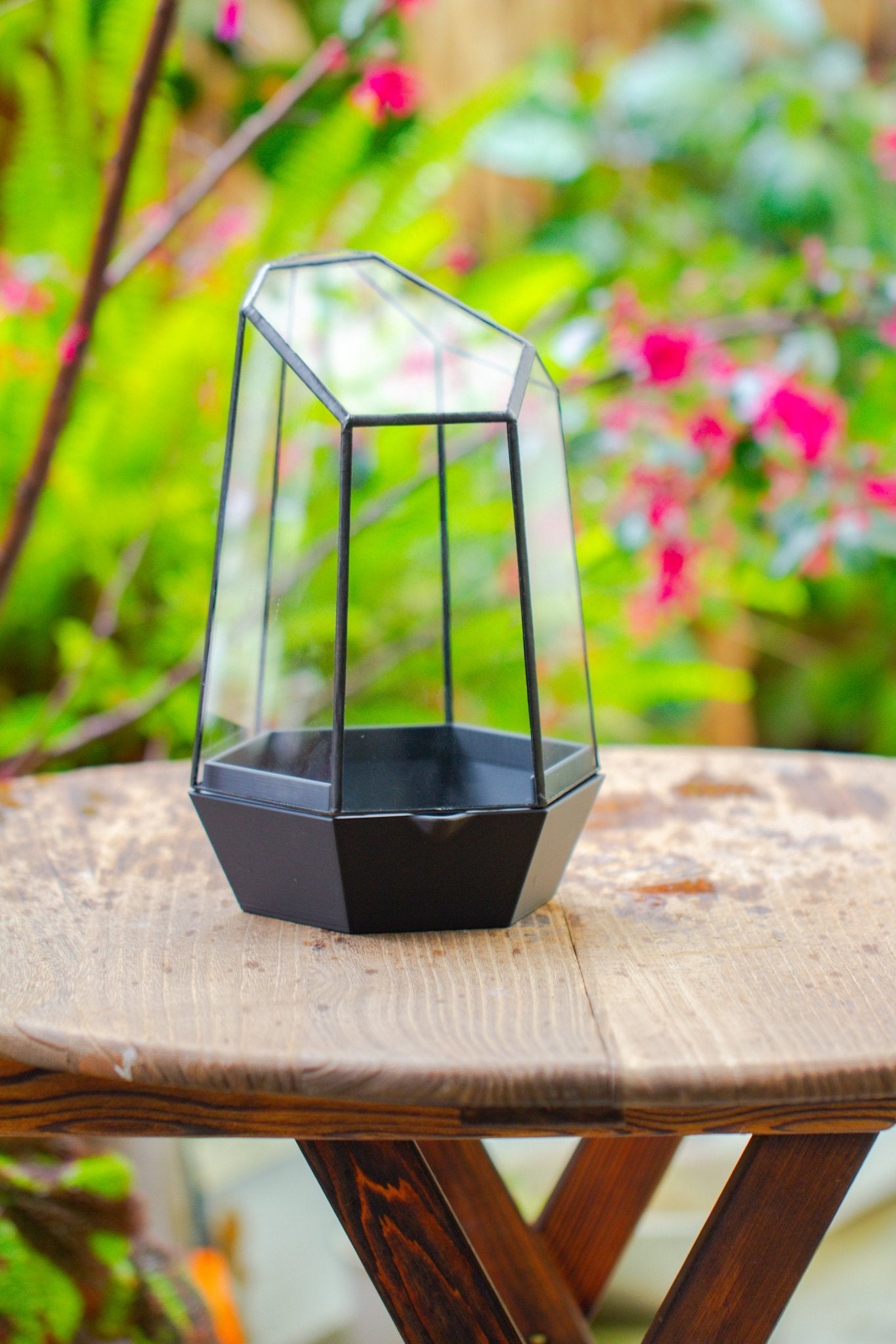 Self - Contained Close Terrarium with Waterproof Base, Geometric Glass Cover for Moss, Sundew and Venus Flytrap PG01J3 - NCYPgarden