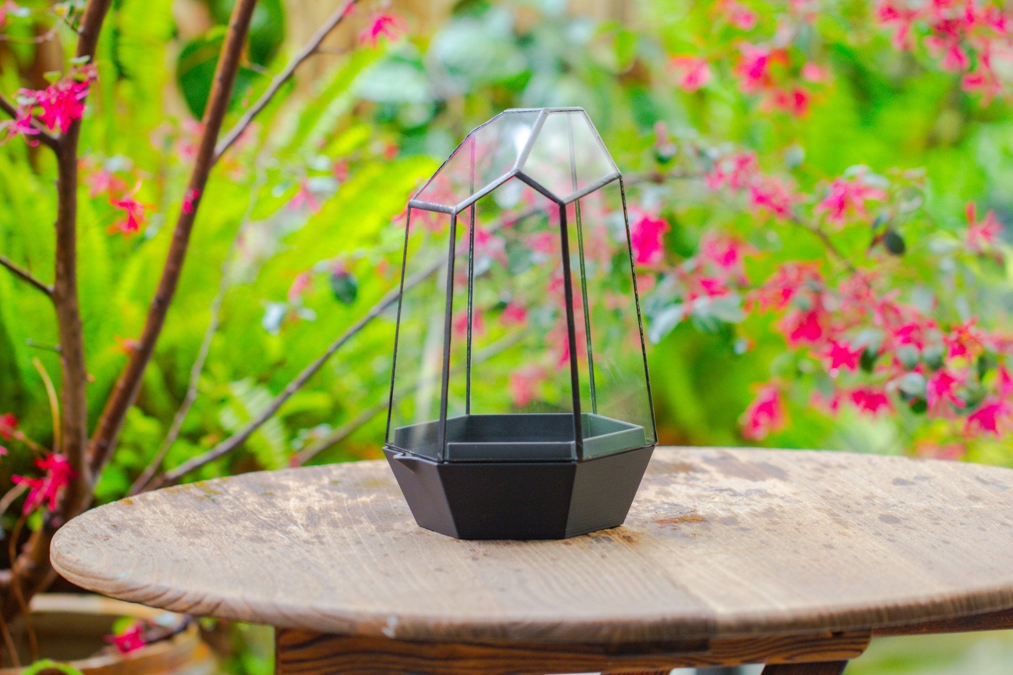 Self - Contained Close Terrarium with Waterproof Base, Geometric Glass Cover for Moss, Sundew and Venus Flytrap PG01J3 - NCYPgarden