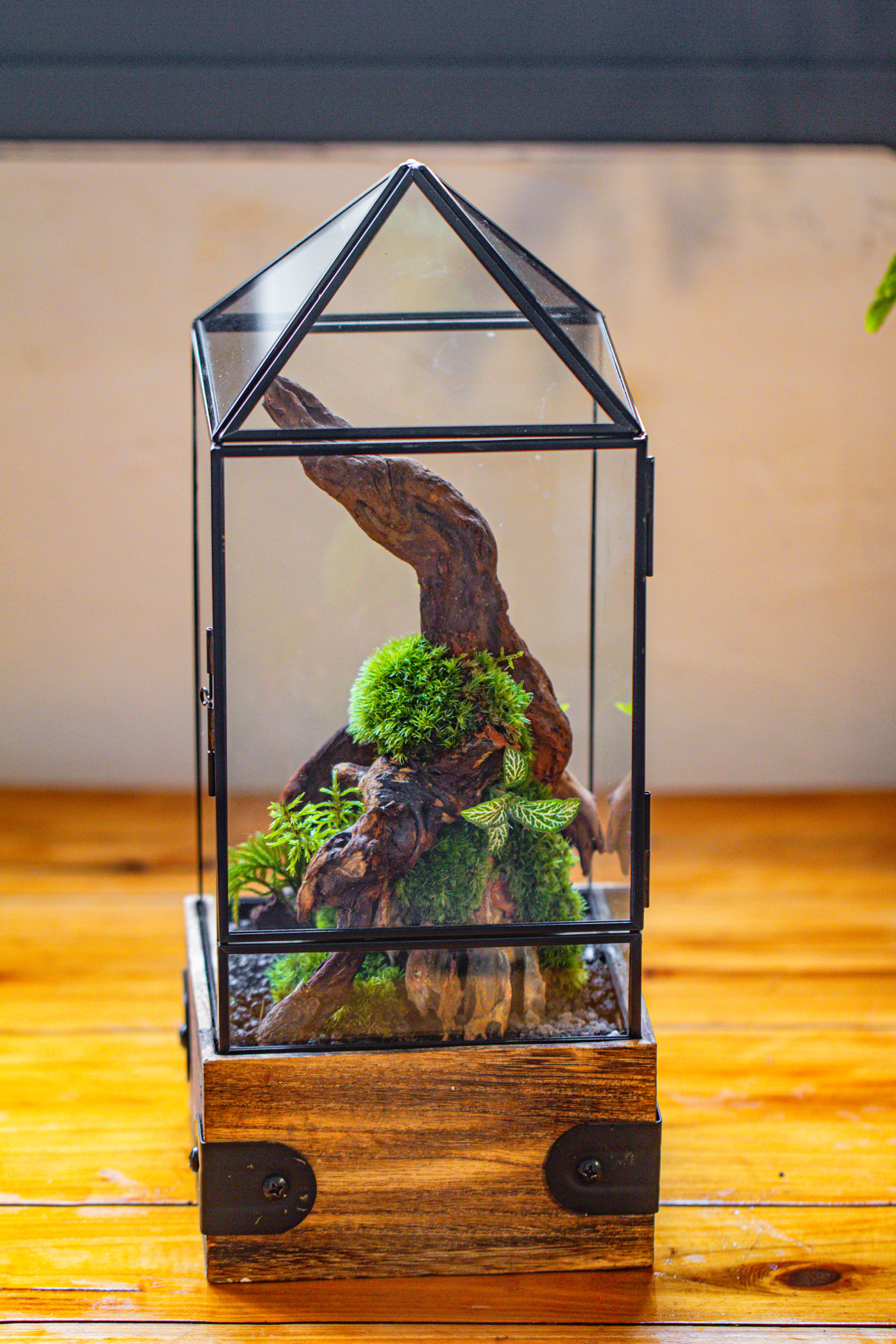 Handmade Glass Terrarium with Wood Base, Pyramid Shape Planter with Door, with LED Acrylic Lamp Base for Plants, Moss Landscapes, Plant Lover Gift - NCYPgarden