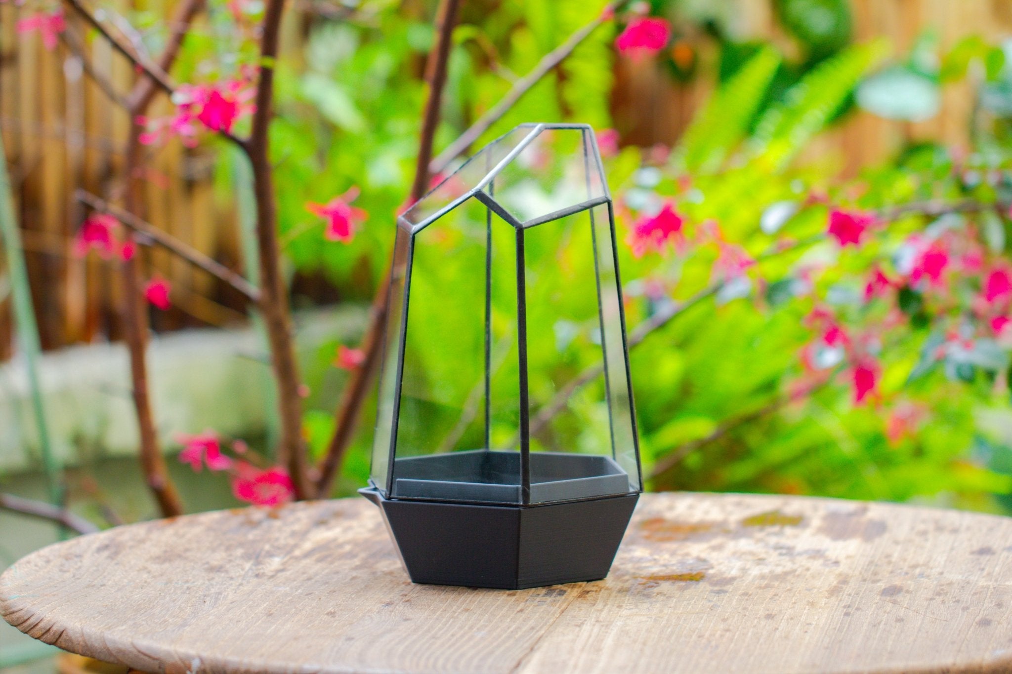 Self - Contained Close Terrarium with Waterproof Base, Geometric Glass Cover for Moss, Sundew and Venus Flytrap PG01J3 - NCYPgarden