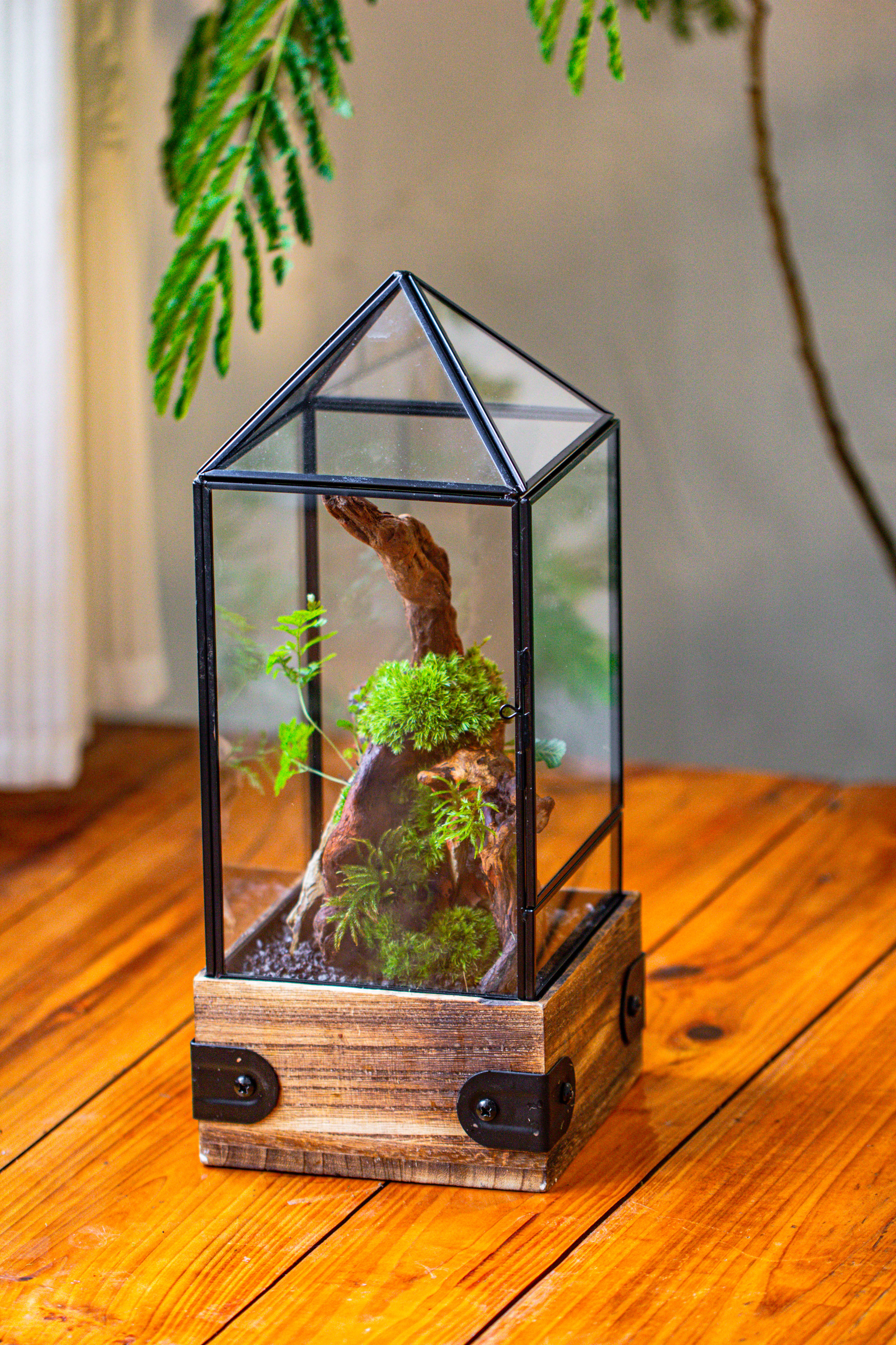 Handmade Glass Terrarium with Wood Base, Pyramid Shape Planter with Door, with LED Acrylic Lamp Base for Plants, Moss Landscapes, Plant Lover Gift - NCYPgarden