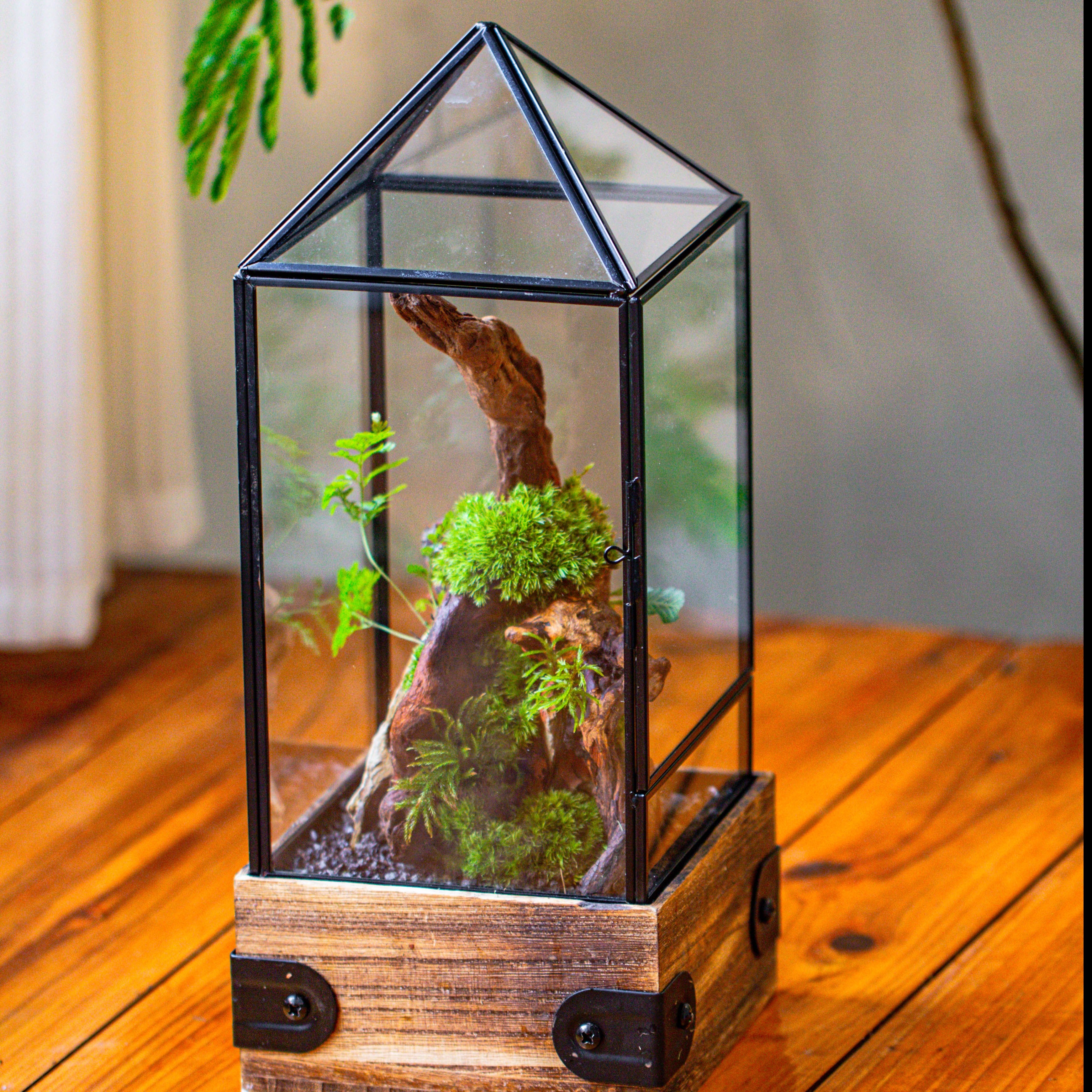 Handmade Glass Terrarium with Wood Base, Pyramid Shape Planter with Door, with LED Acrylic Lamp Base for Plants, Moss Landscapes, Plant Lover Gift - NCYPgarden