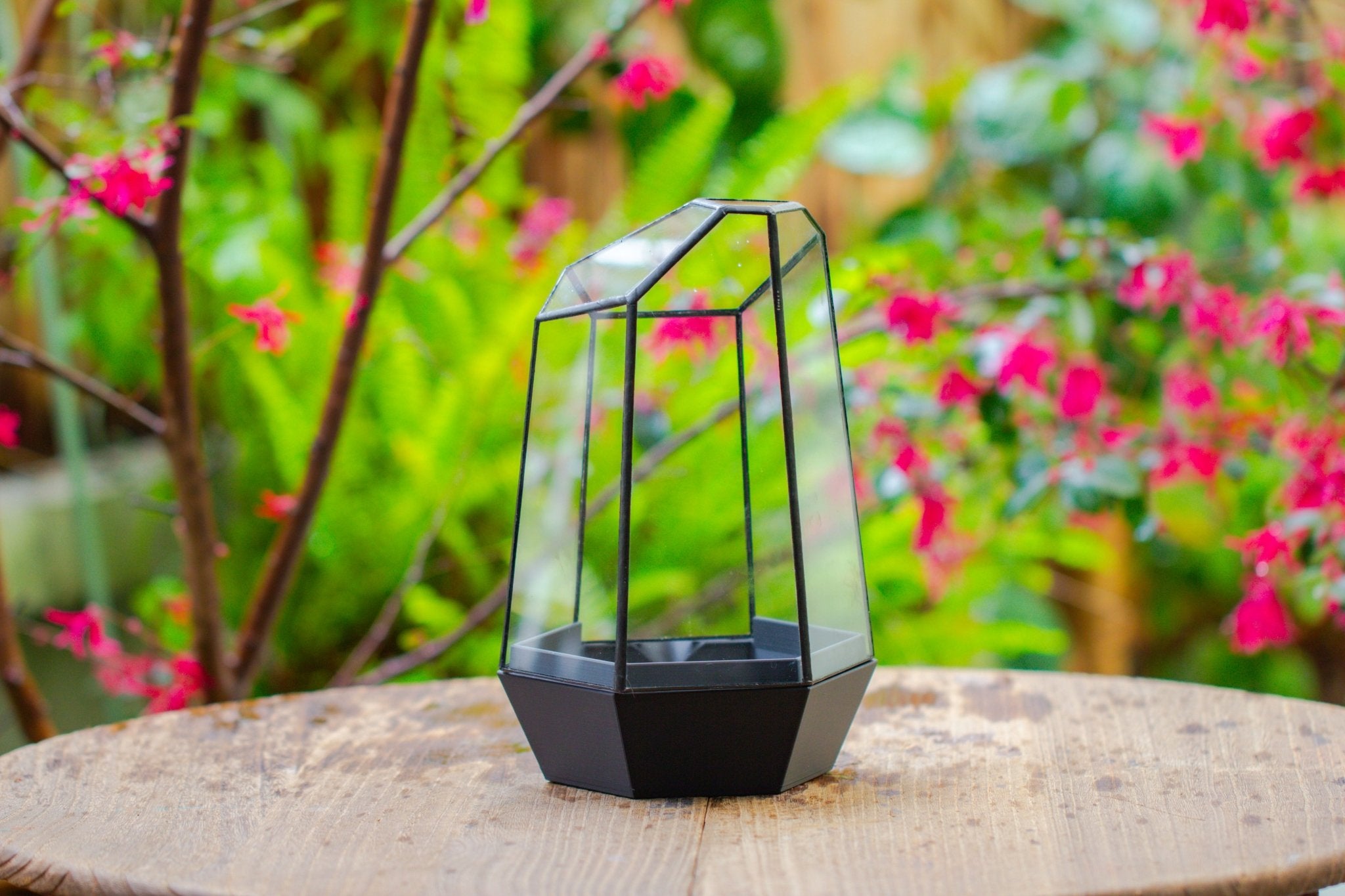 Self - Contained Close Terrarium with Waterproof Base, Geometric Glass Cover for Moss, Sundew and Venus Flytrap PG01J3 - NCYPgarden