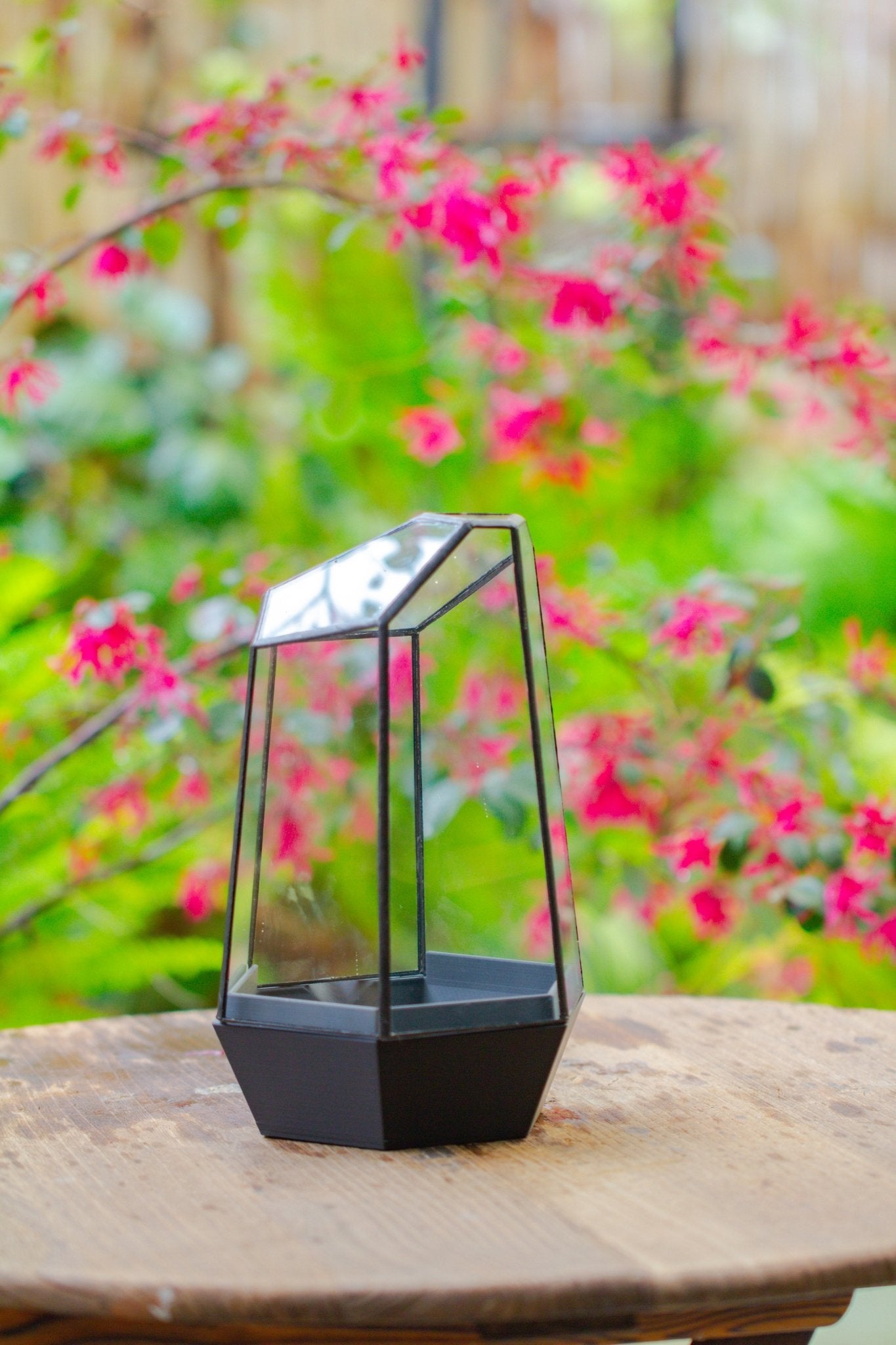 Self - Contained Close Terrarium with Waterproof Base, Geometric Glass Cover for Moss, Sundew and Venus Flytrap PG01J3 - NCYPgarden