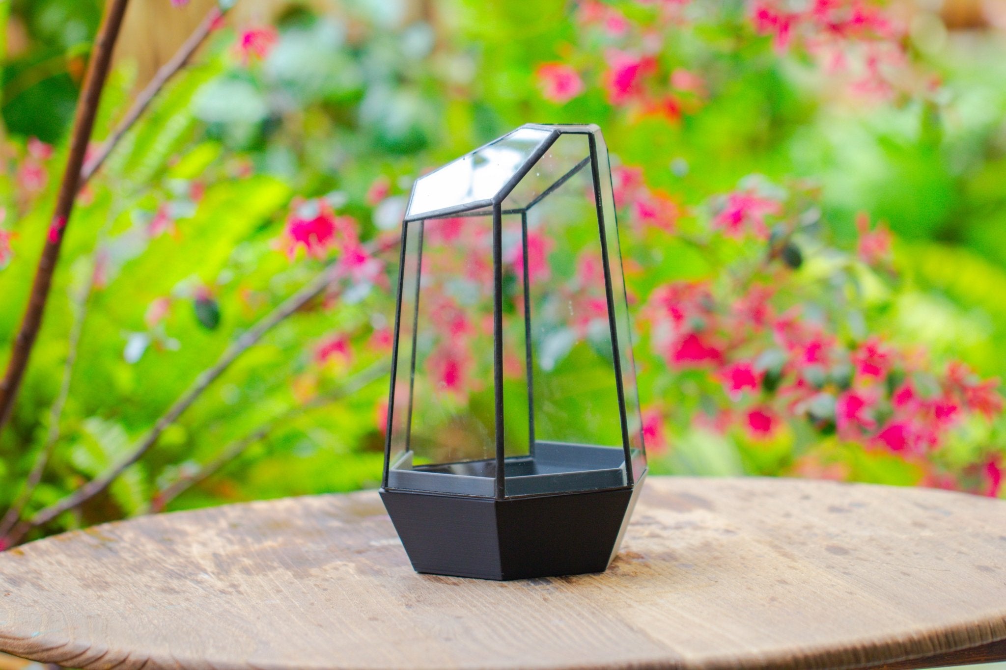 Self - Contained Close Terrarium with Waterproof Base, Geometric Glass Cover for Moss, Sundew and Venus Flytrap PG01J3 - NCYPgarden