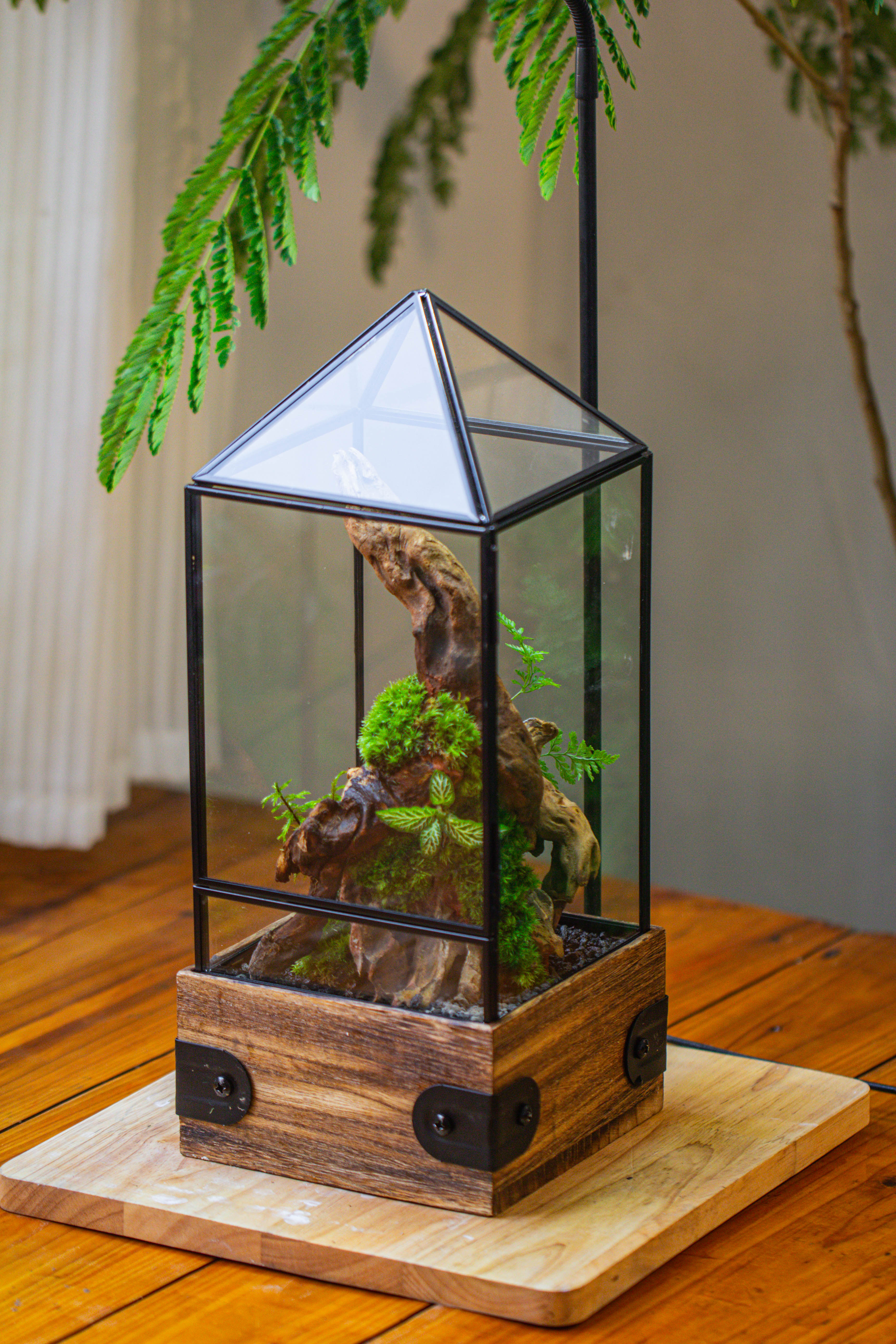 Handmade Glass Terrarium with Wood Base, Pyramid Shape Planter with Door, with LED Acrylic Lamp Base for Plants, Moss Landscapes, Plant Lover Gift - NCYPgarden