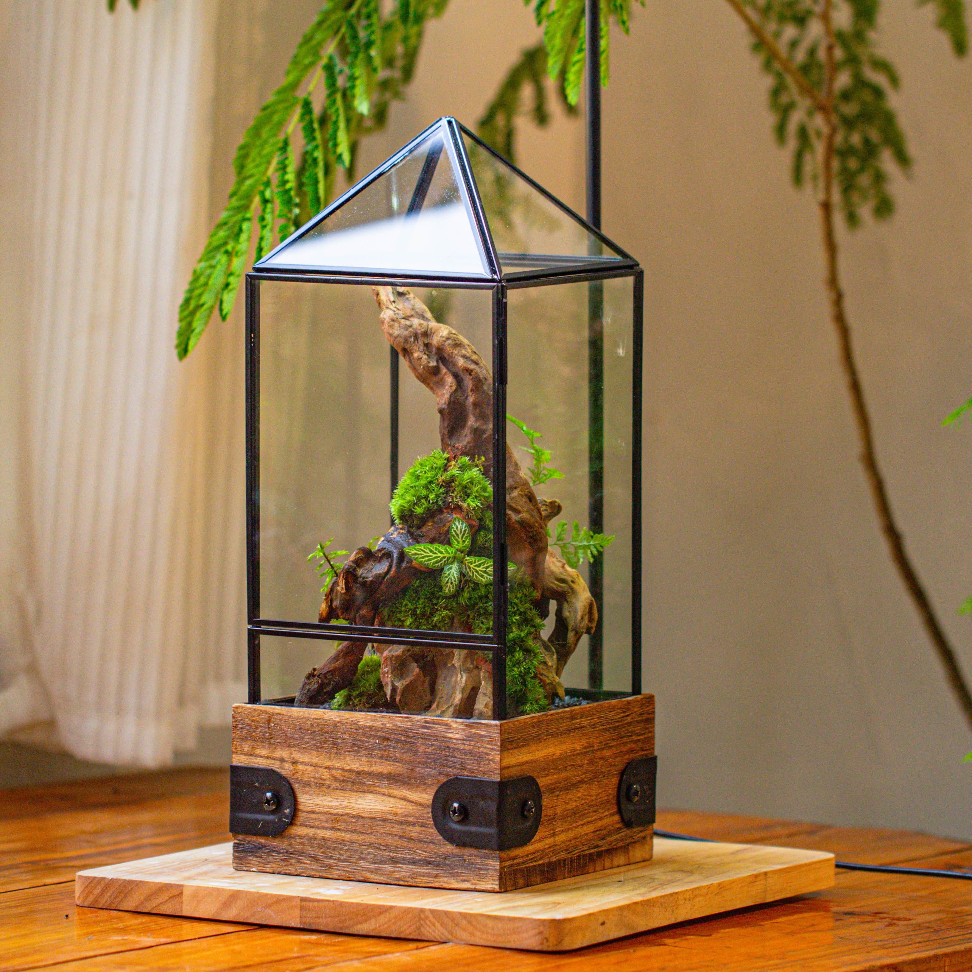 Handmade Glass Terrarium with Wood Base, Pyramid Shape Planter with Door, with LED Acrylic Lamp Base for Plants, Moss Landscapes, Plant Lover Gift - NCYPgarden
