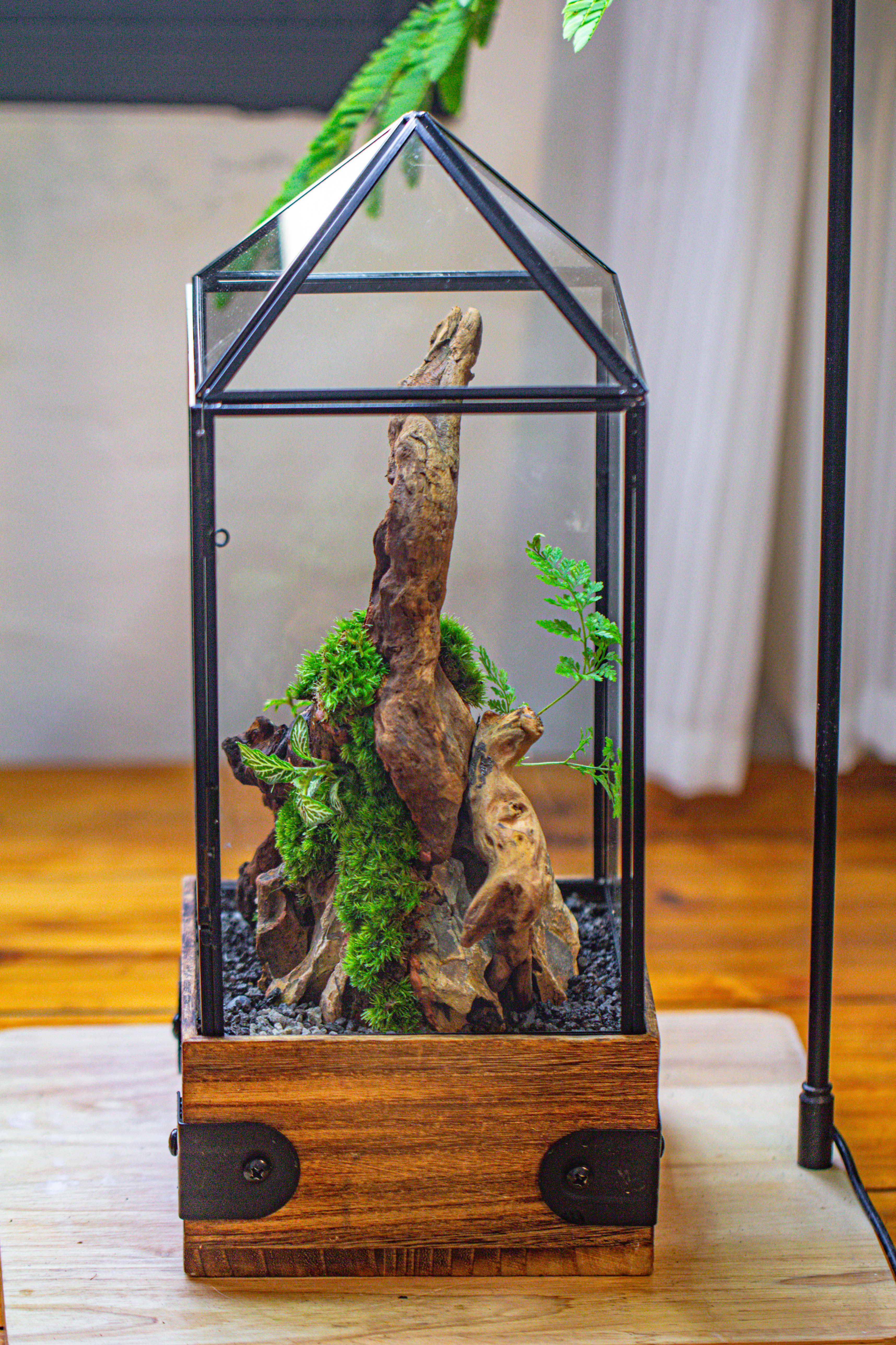 Handmade Glass Terrarium with Wood Base, Pyramid Shape Planter with Door, with LED Acrylic Lamp Base for Plants, Moss Landscapes, Plant Lover Gift - NCYPgarden