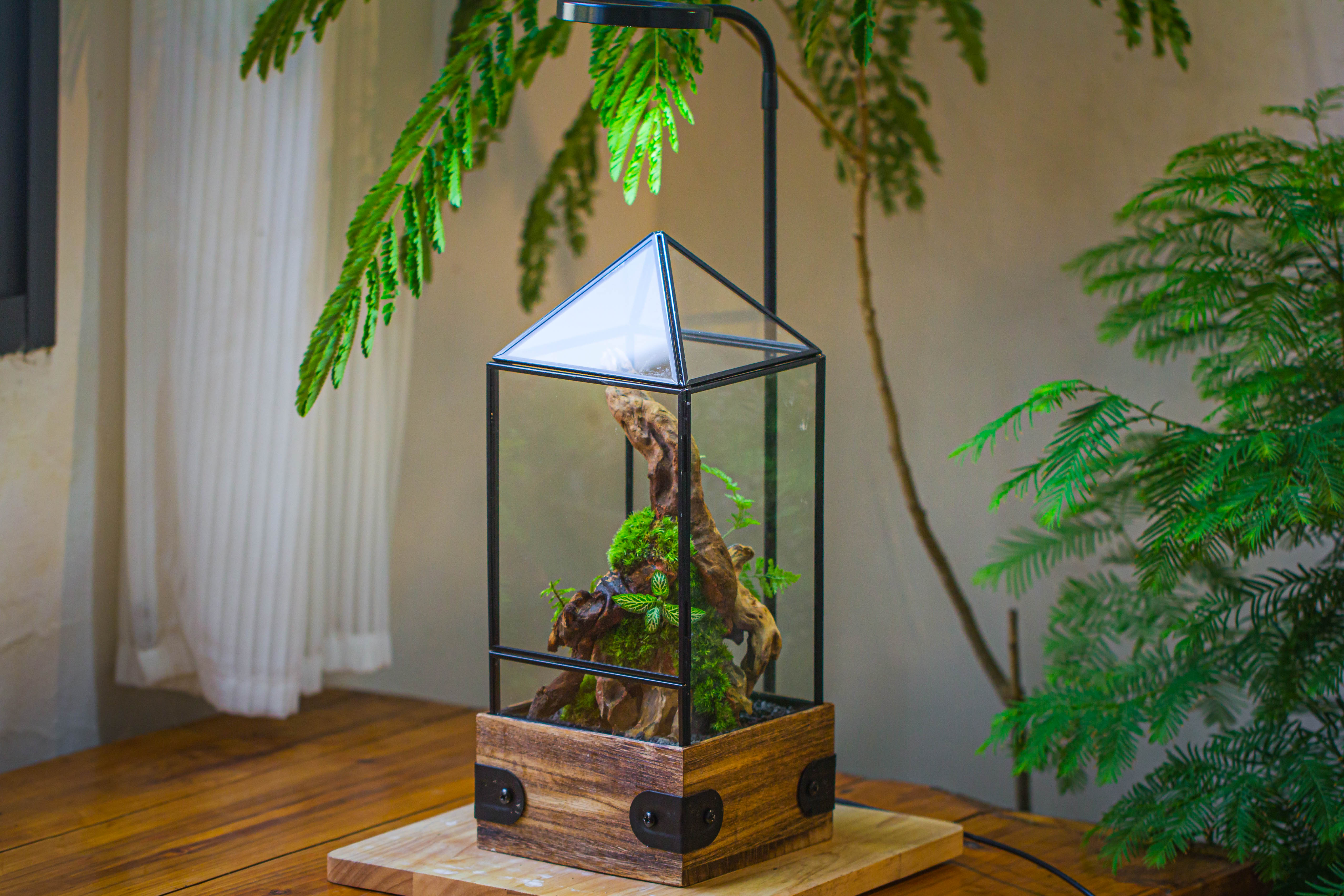 Handmade Glass Terrarium with Wood Base, Pyramid Shape Planter with Door, with LED Acrylic Lamp Base for Plants, Moss Landscapes, Plant Lover Gift - NCYPgarden