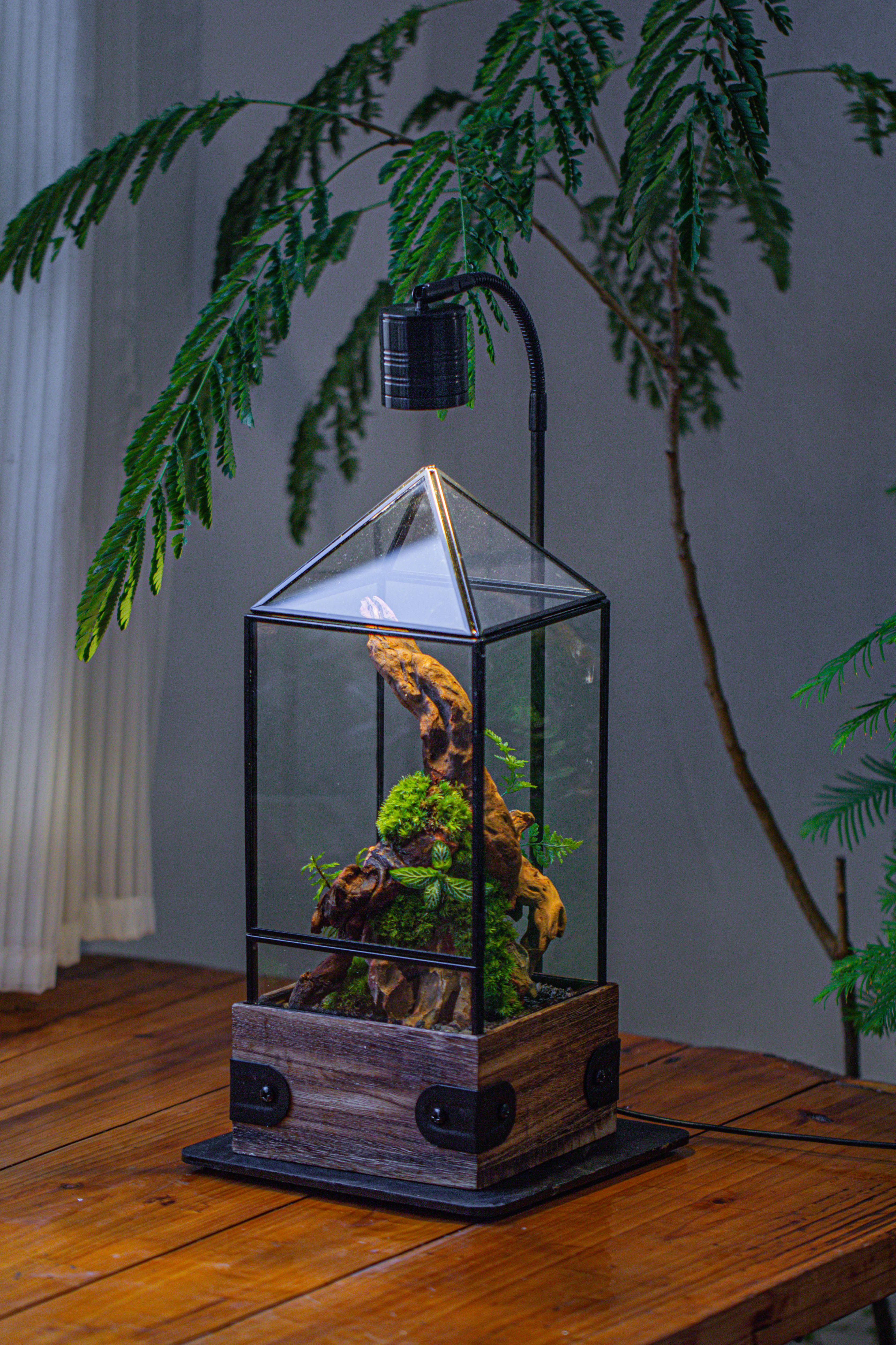 Handmade Glass Terrarium with Wood Base, Pyramid Shape Planter with Door, with LED Acrylic Lamp Base for Plants, Moss Landscapes, Plant Lover Gift - NCYPgarden