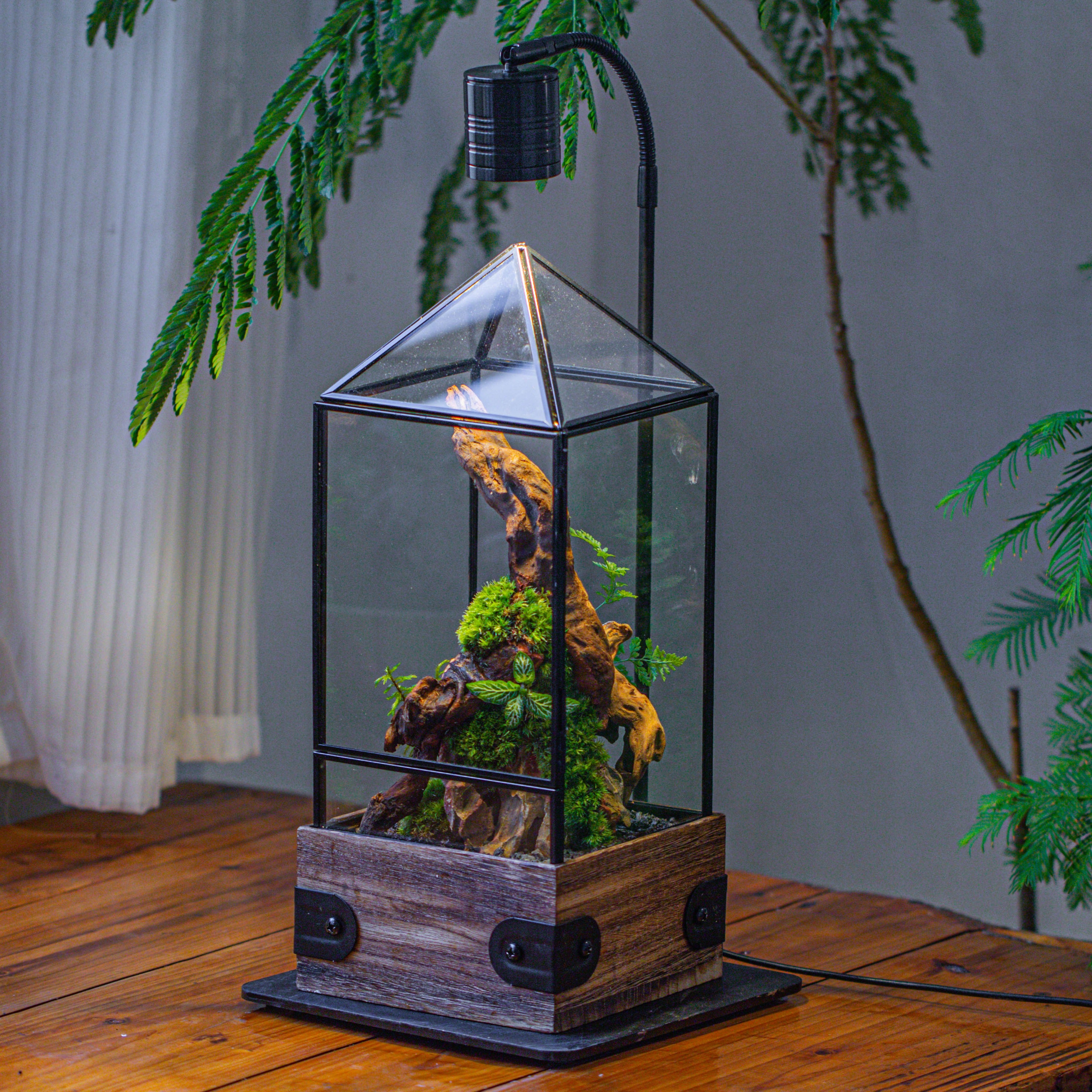 Handmade Glass Terrarium with Wood Base, Pyramid Shape Planter with Door, with LED Acrylic Lamp Base for Plants, Moss Landscapes, Plant Lover Gift - NCYPgarden