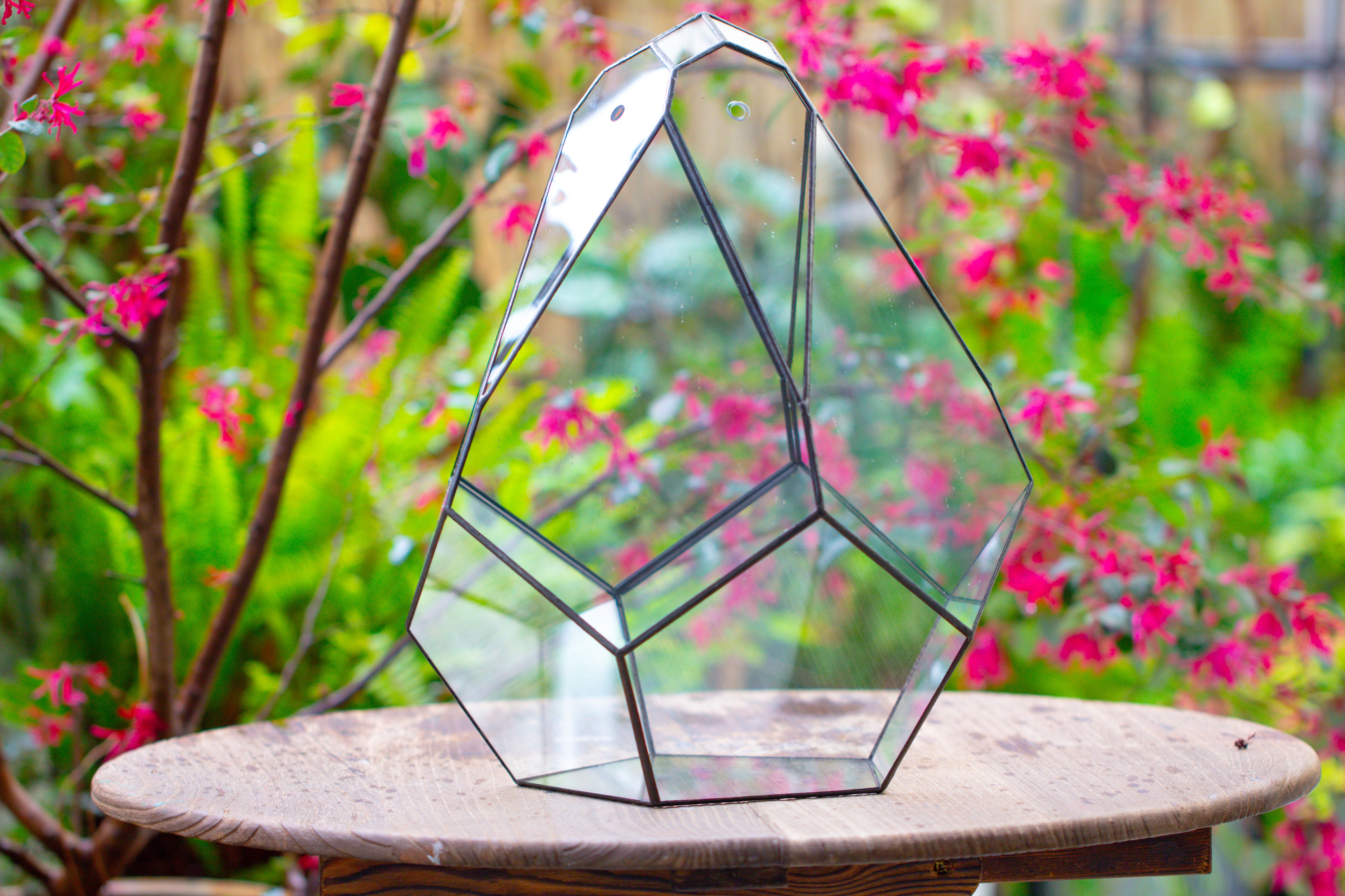 16" Large Teardrop Geometric Terrarium, close - NCYPgarden