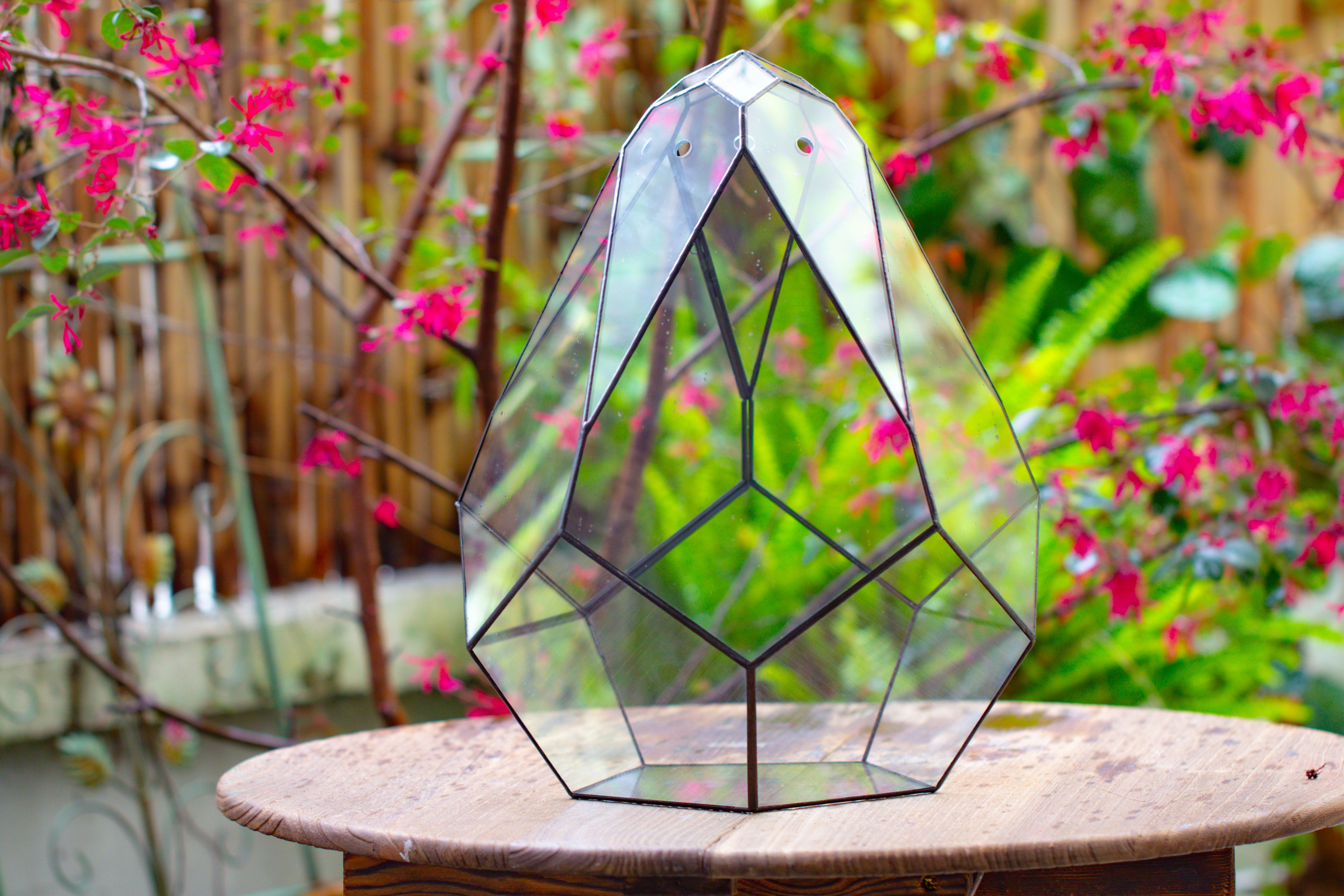 16" Large Teardrop Geometric Terrarium, close - NCYPgarden