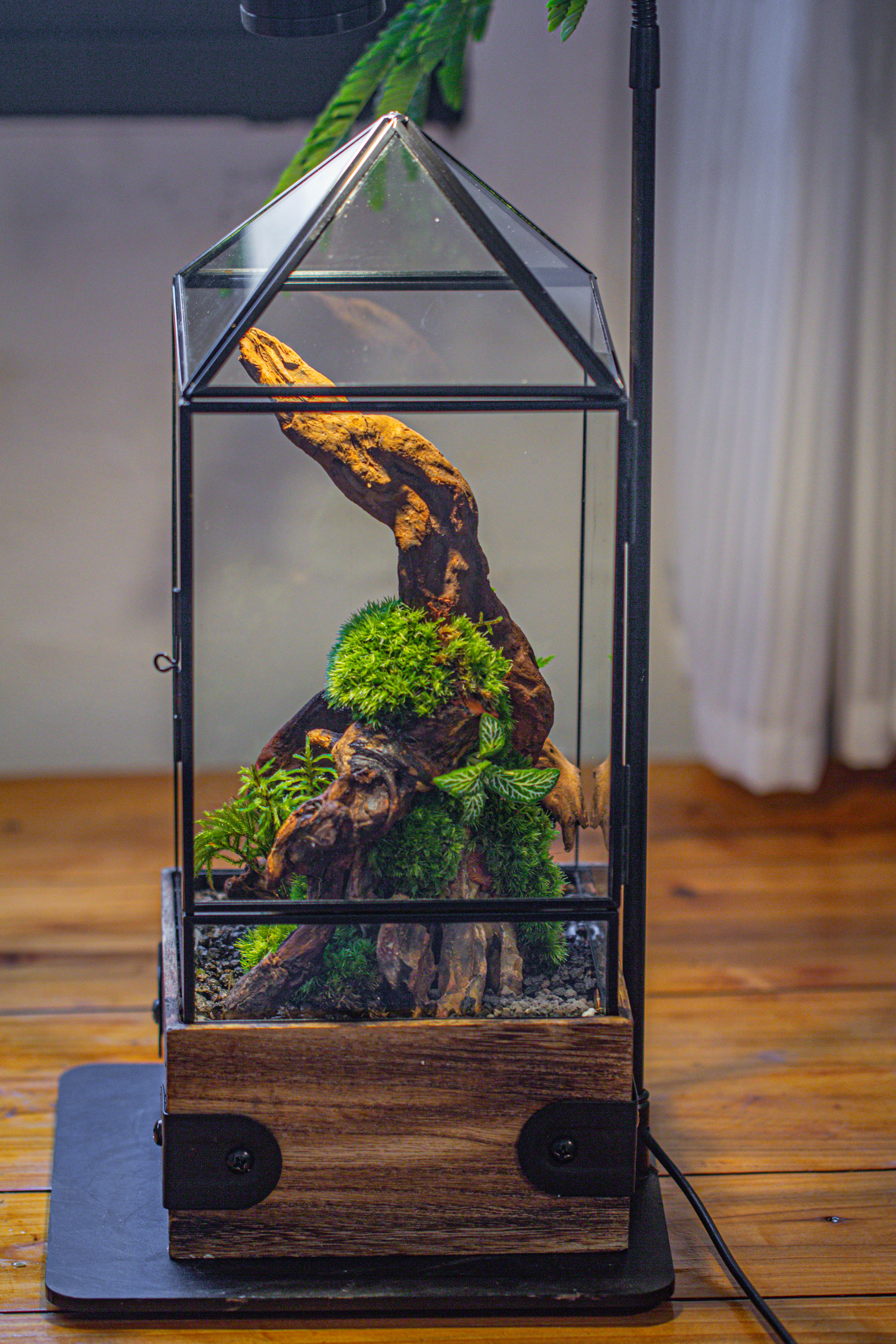 Handmade Glass Terrarium with Wood Base, Pyramid Shape Planter with Door, with LED Acrylic Lamp Base for Plants, Moss Landscapes, Plant Lover Gift - NCYPgarden