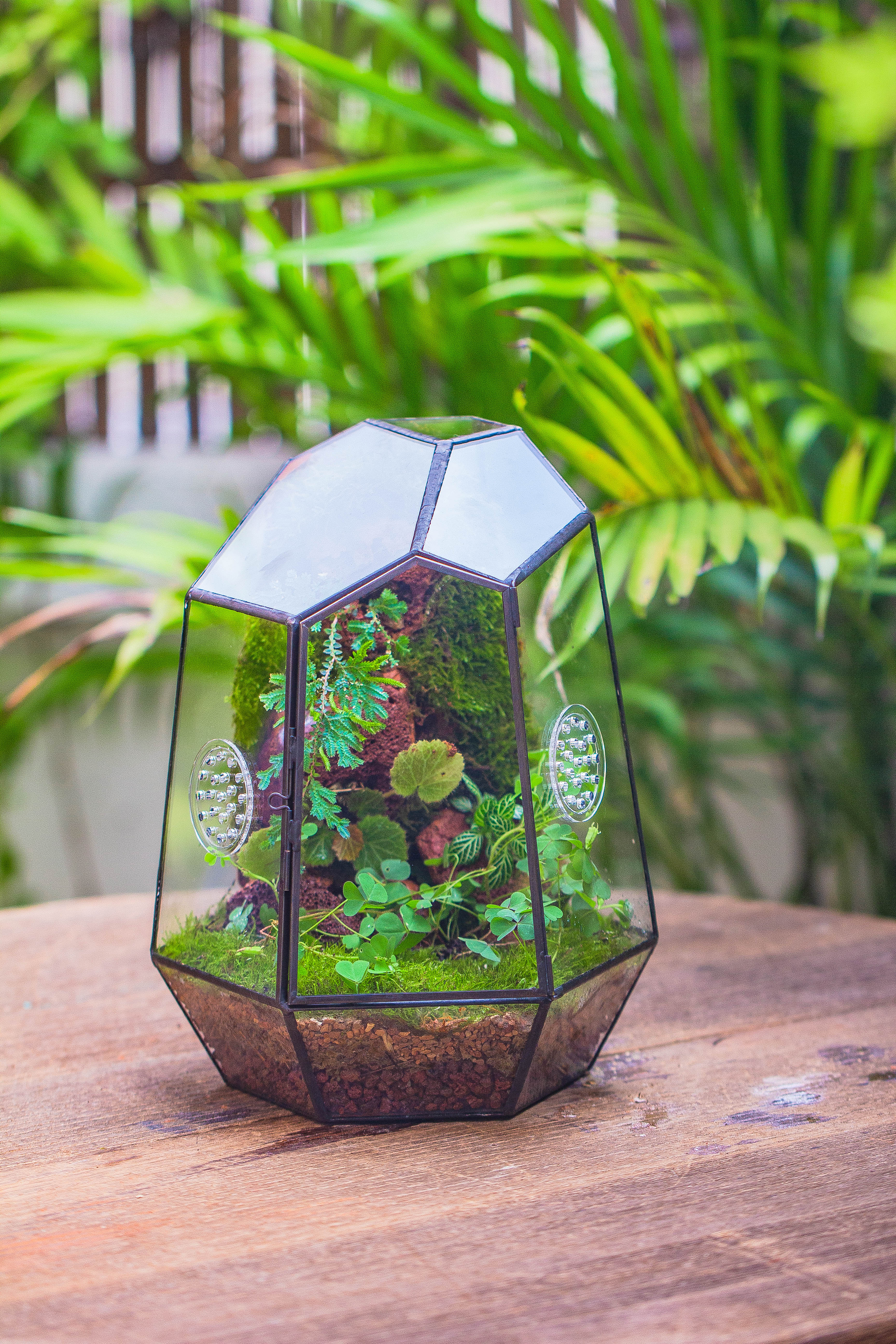 NCYP Close Geometric Glass Terrarium with Door, Tin Sealed Irregular Tall Planter Succulent Cacti Fern Flower Pot - NCYPgarden