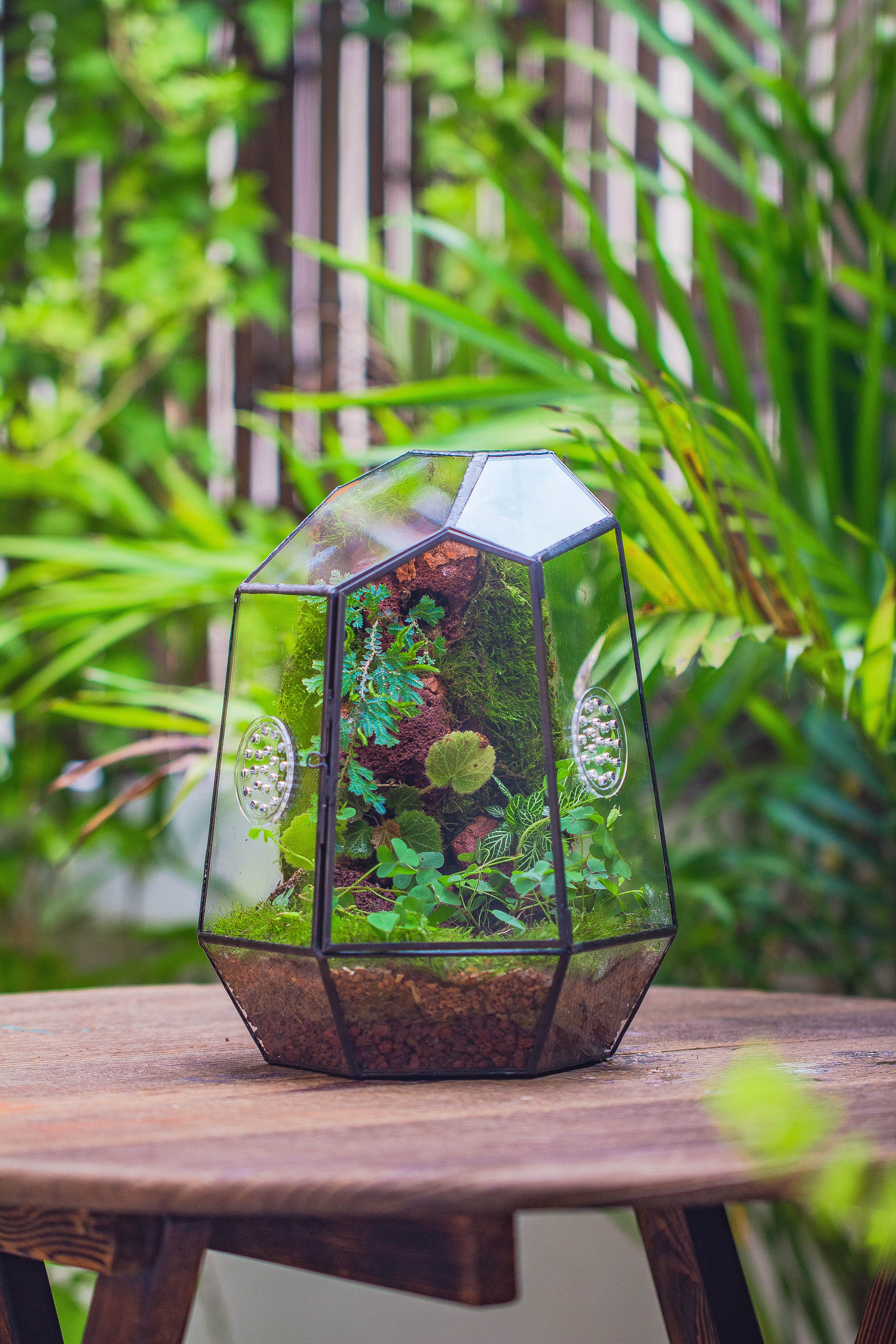 NCYP Close Geometric Glass Terrarium with Door, Tin Sealed Irregular Tall Planter Succulent Cacti Fern Flower Pot - NCYPgarden