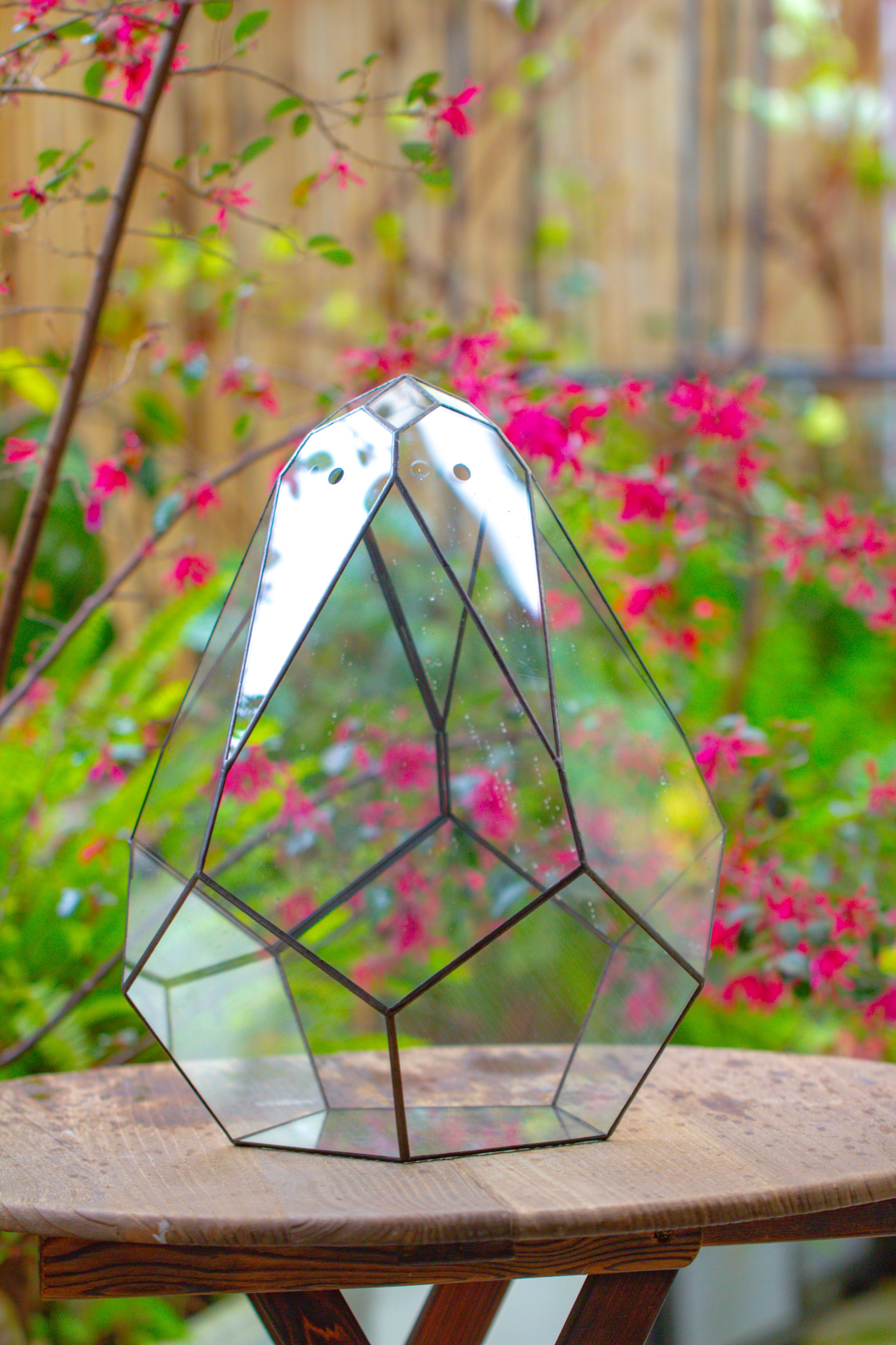 16" Large Teardrop Geometric Terrarium, close - NCYPgarden