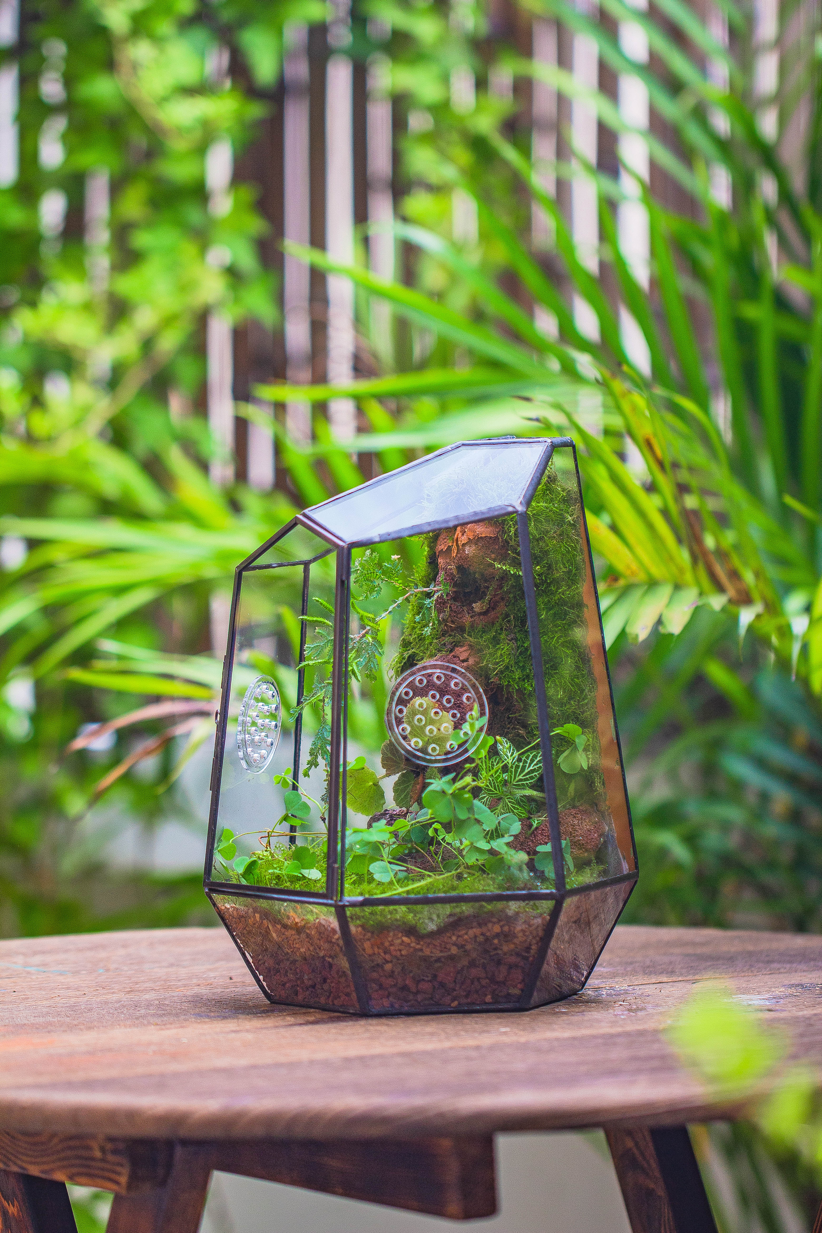 NCYP Close Geometric Glass Terrarium with Door, Tin Sealed Irregular Tall Planter Succulent Cacti Fern Flower Pot - NCYPgarden