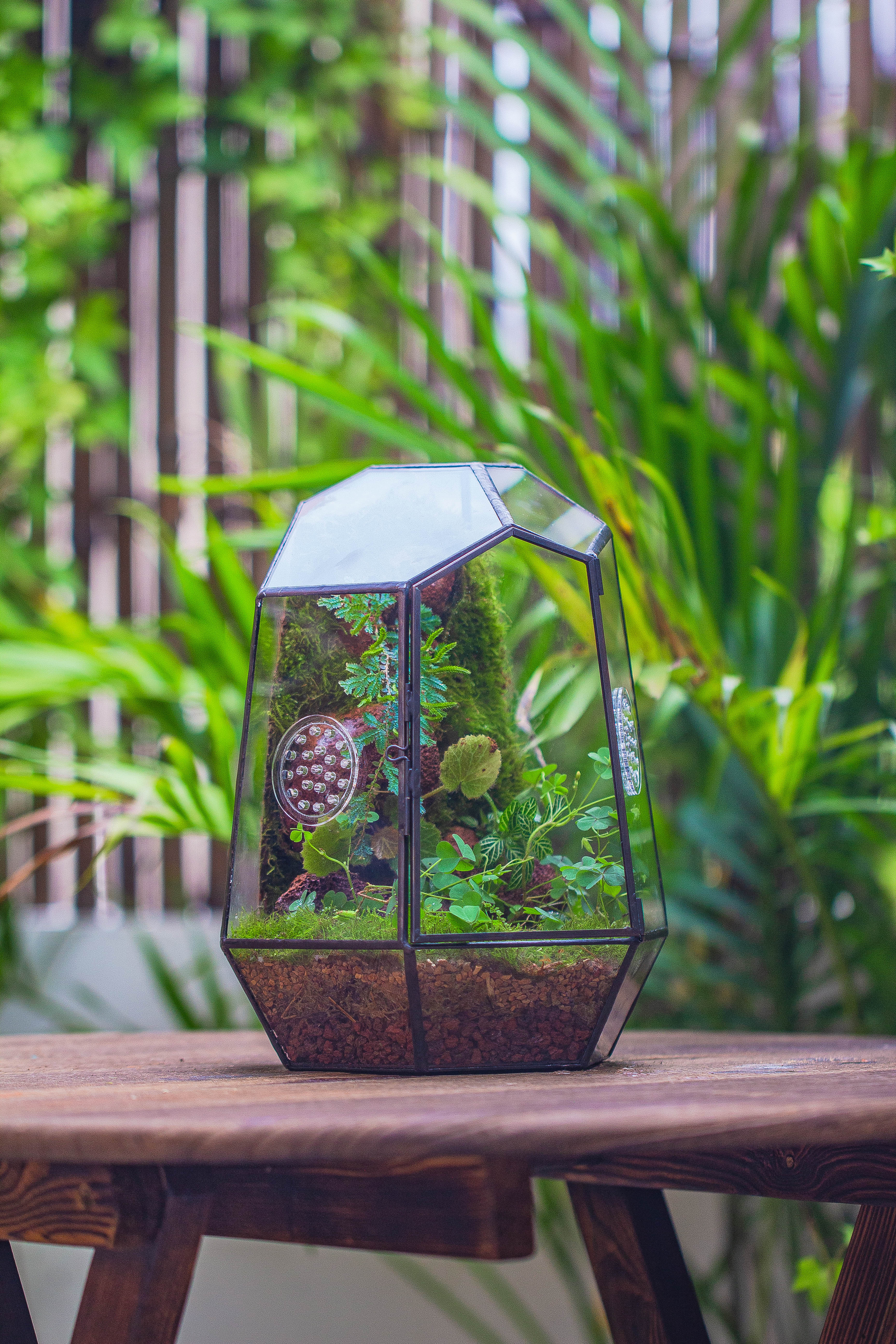 NCYP Close Geometric Glass Terrarium with Door, Tin Sealed Irregular Tall Planter Succulent Cacti Fern Flower Pot - NCYPgarden