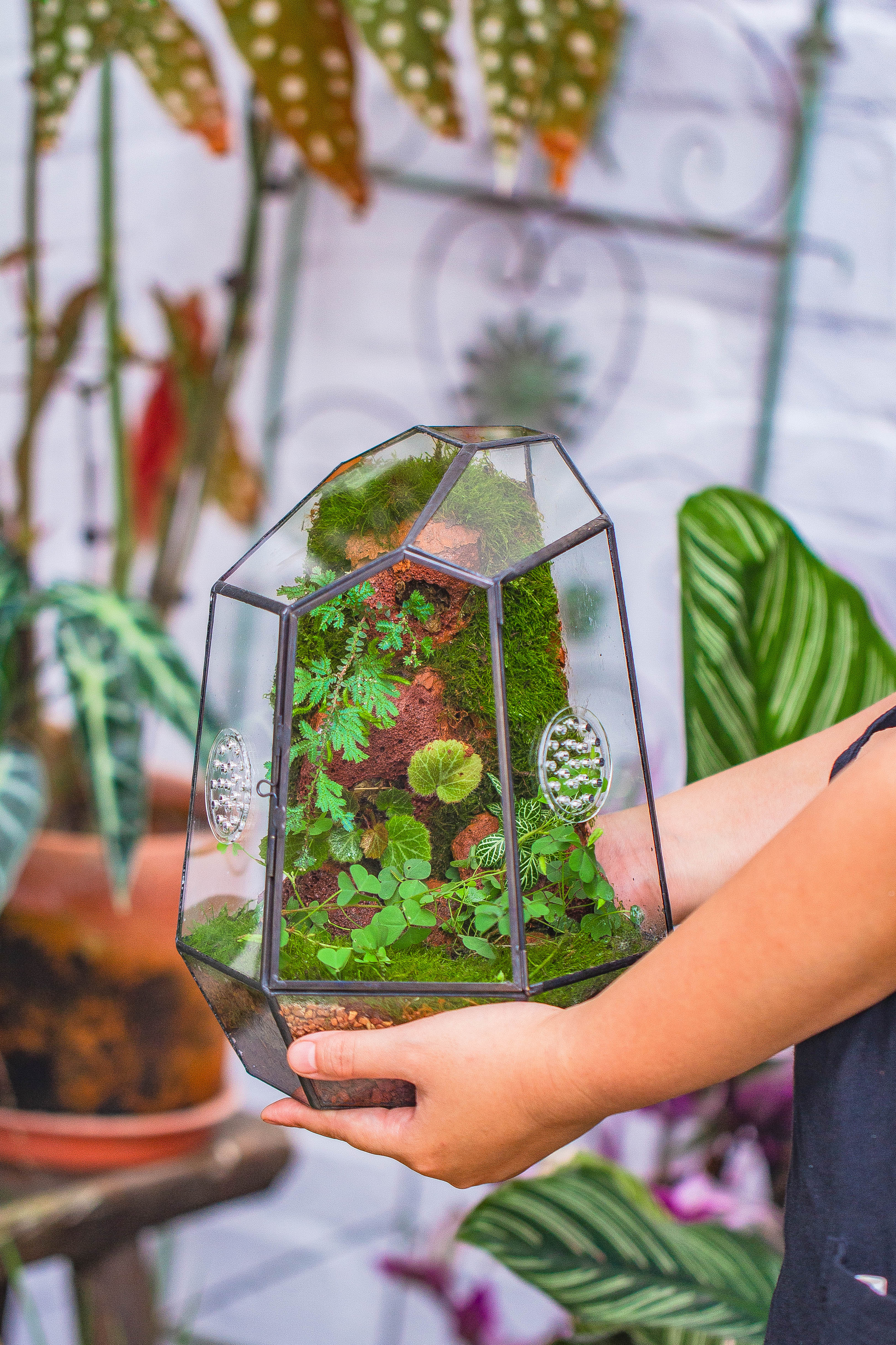 NCYP Close Geometric Glass Terrarium with Door, Tin Sealed Irregular Tall Planter Succulent Cacti Fern Flower Pot - NCYPgarden