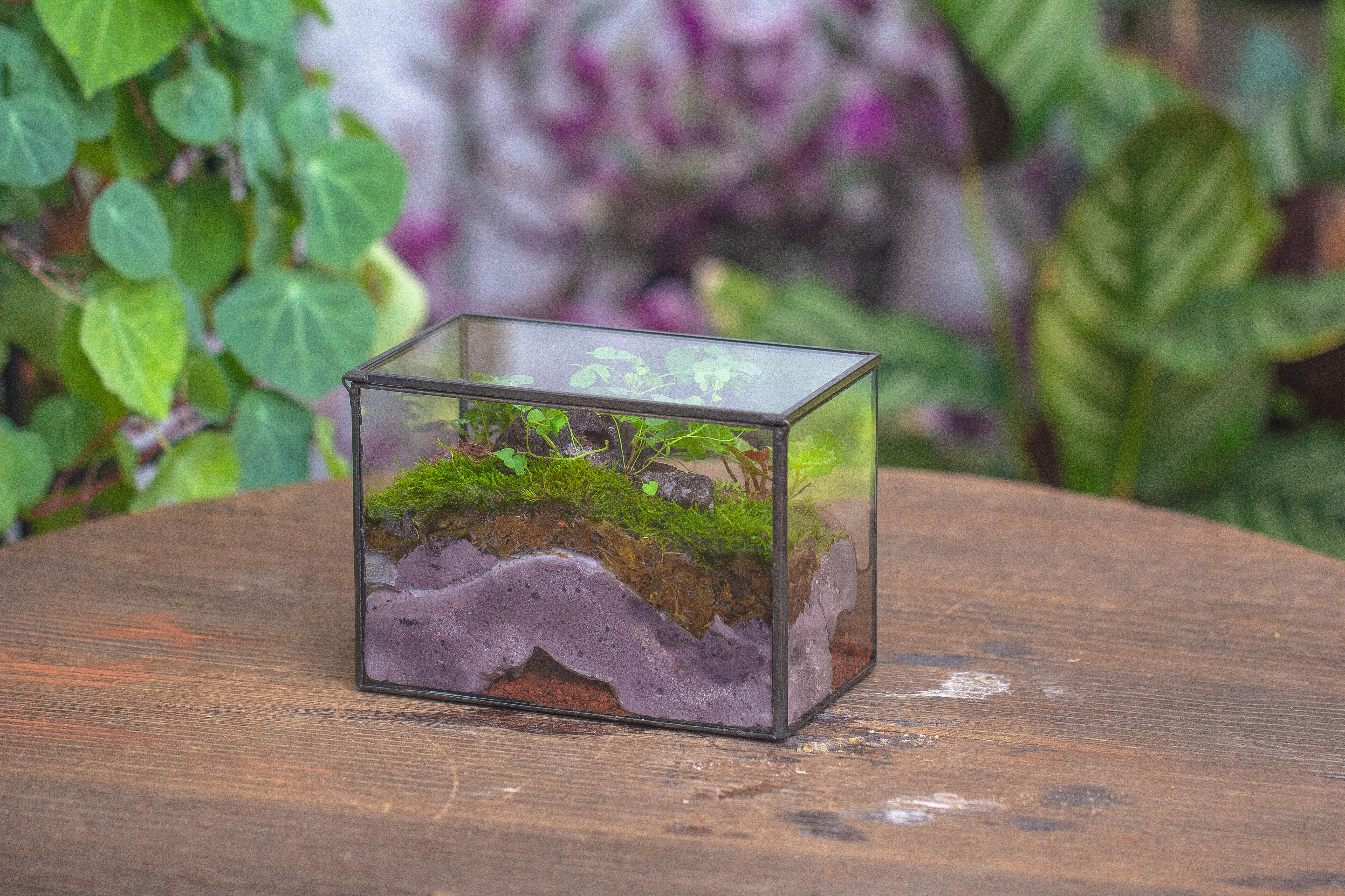NCYP Watertight Close Small Rectangle Geometric Glass Tin Terrarium, for small waterpond, moss landscape, Live Miniature, water pond - NCYPgarden