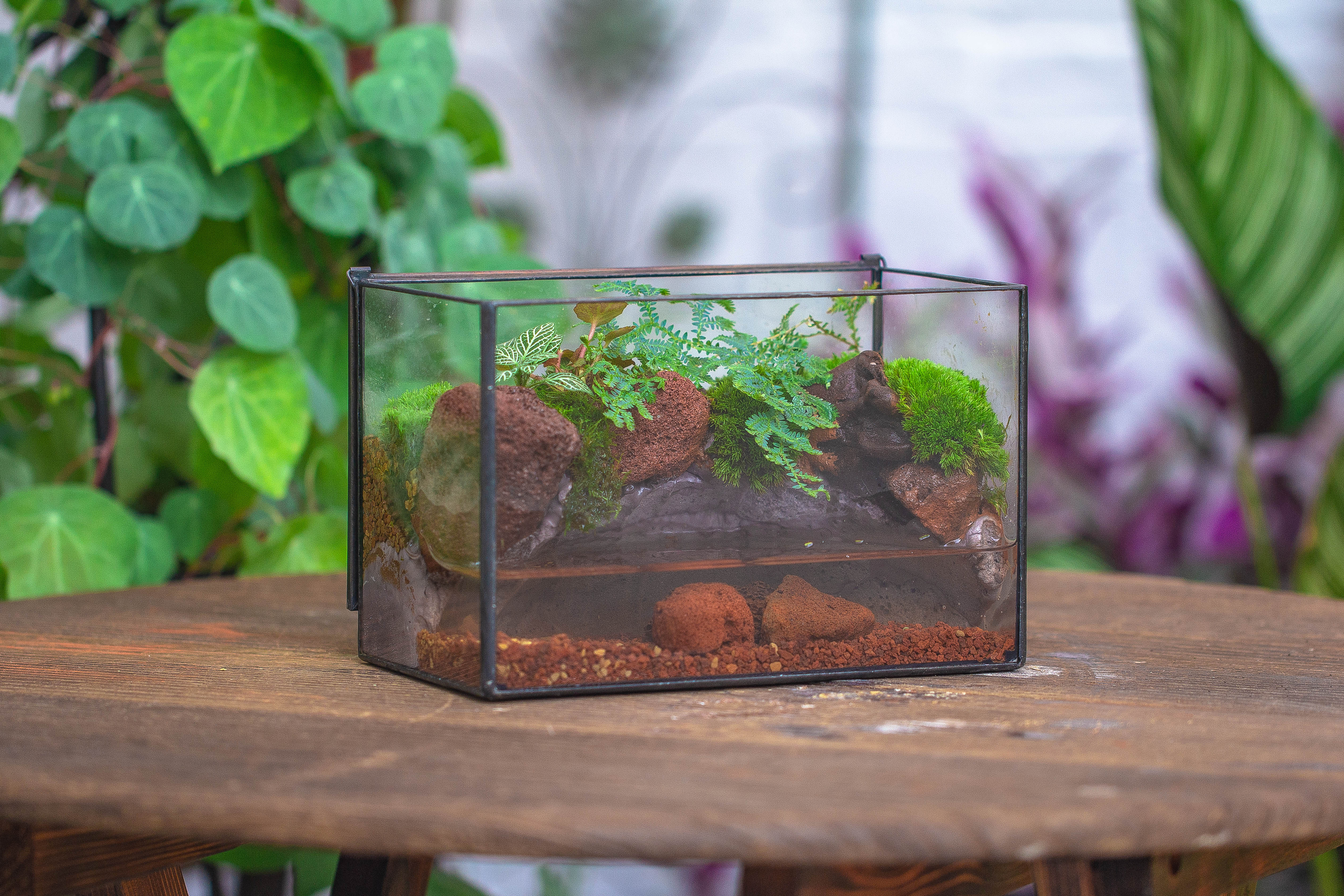 NCYP Watertight Close Rectangle Geometric Glass Tin Terrarium, for small waterpond, moss landscape, Live Miniature, water pond, landscape - NCYPgarden