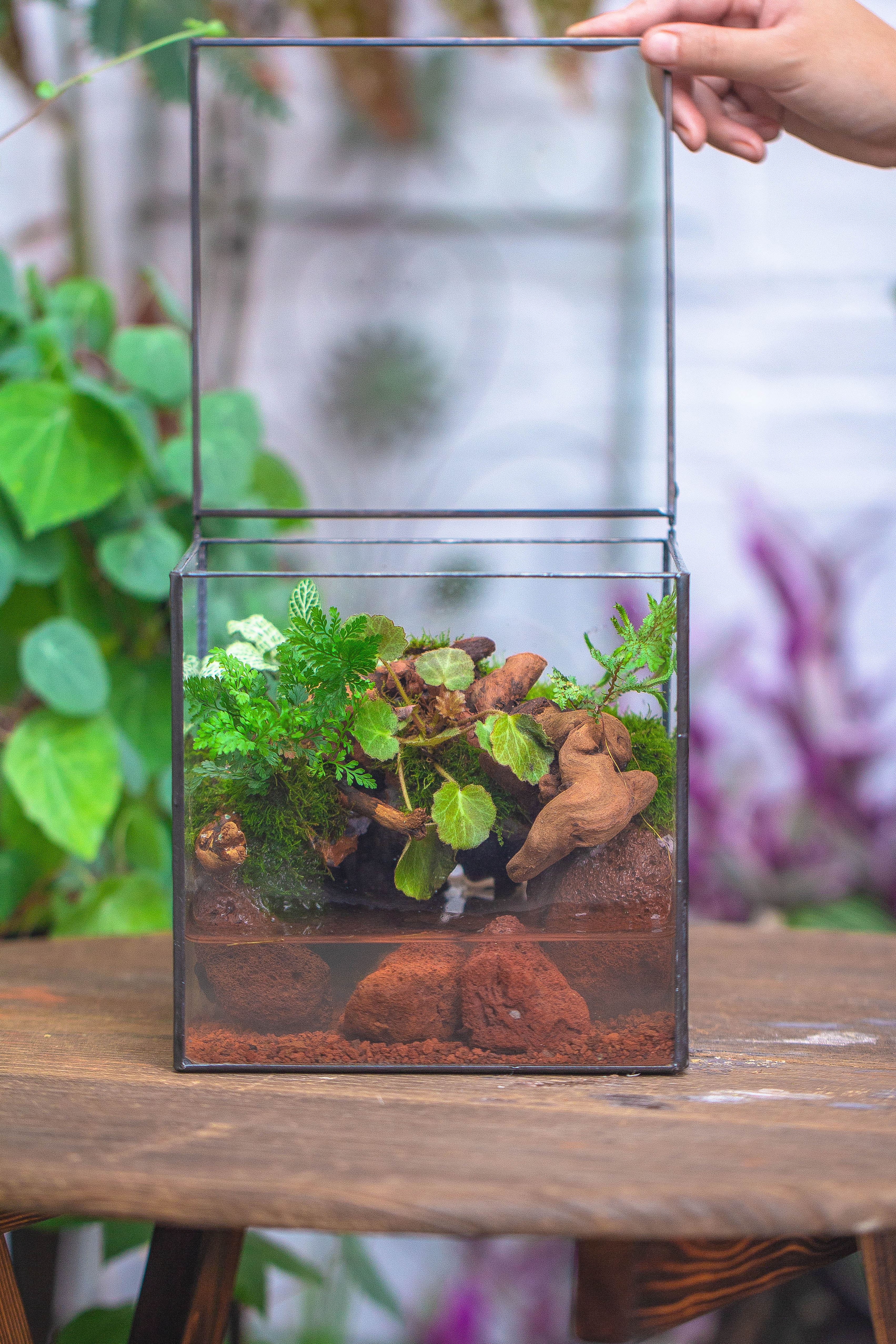 NCYP Watertight Close Cube 7" Geometric Glass Tin Terrarium, for small waterpond, moss landscape, Live Miniature, water pond, landscape - NCYPgarden