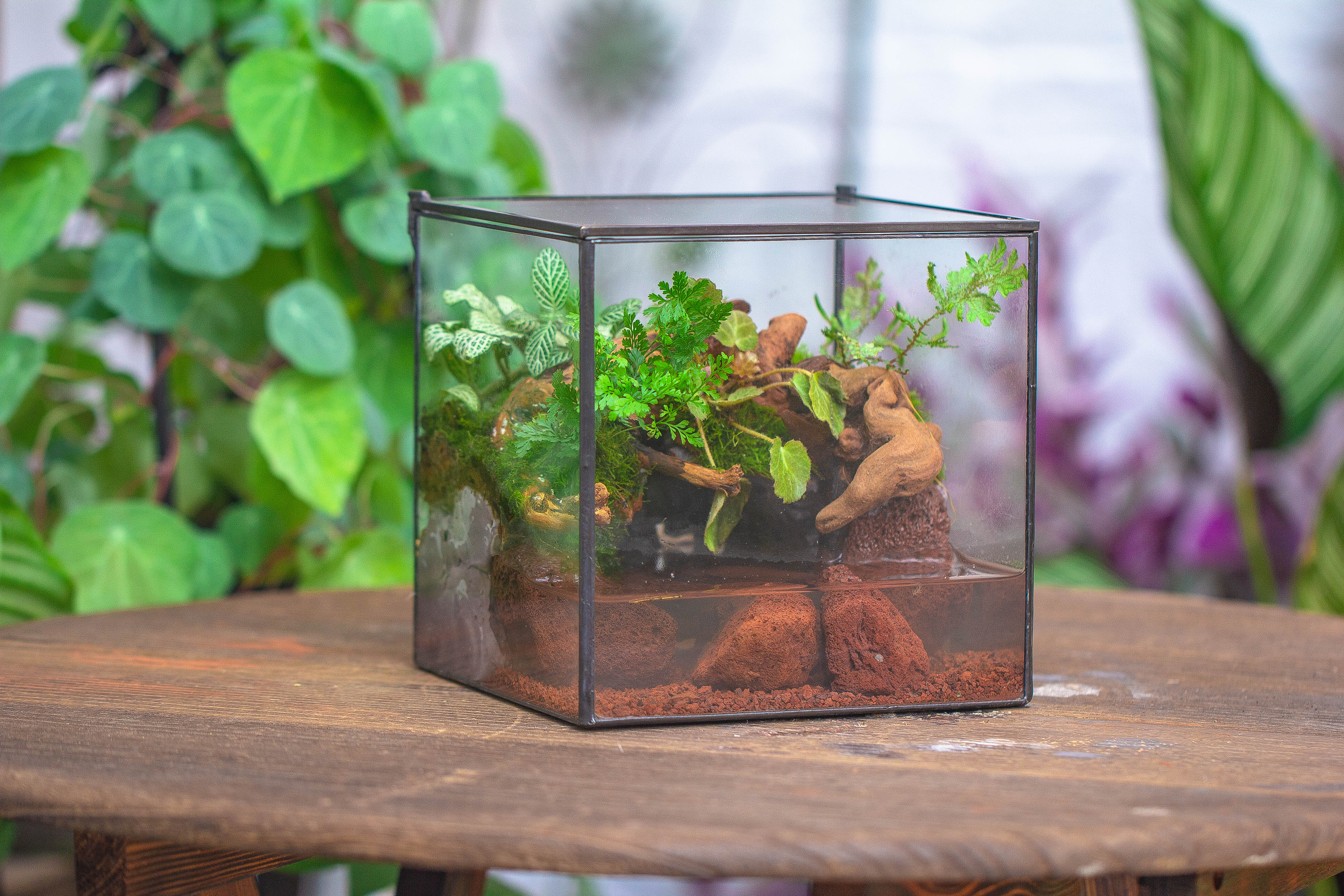 NCYP Watertight Close Cube 7" Geometric Glass Tin Terrarium, for small waterpond, moss landscape, Live Miniature, water pond, landscape - NCYPgarden