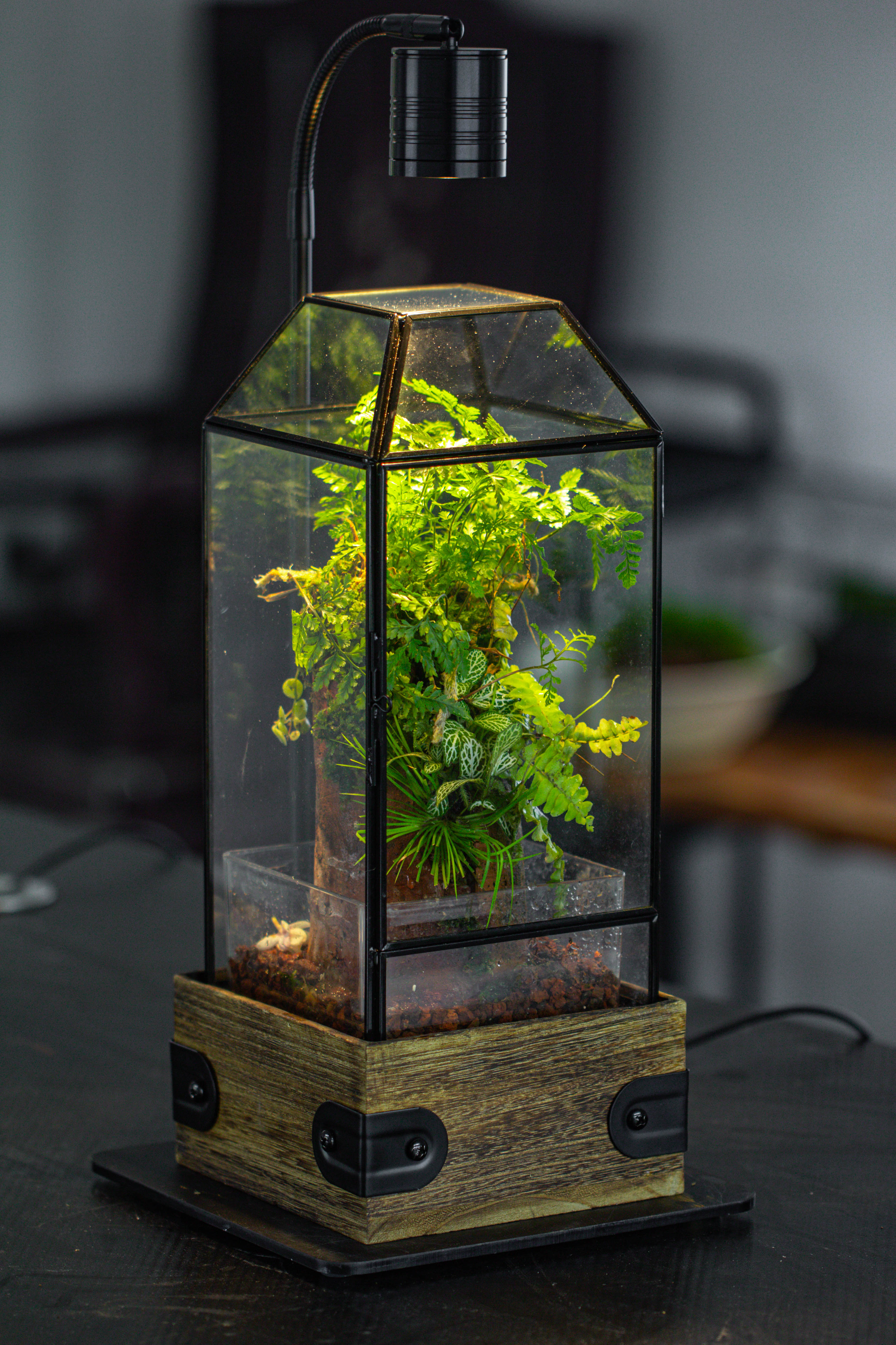 Handmade Glass Terrarium with Wood Base, Geometric  Planter with Door, with LED Acrylic Lamp Base for Plants, Moss Landscapes, Plant Lover Gift - NCYPgarden