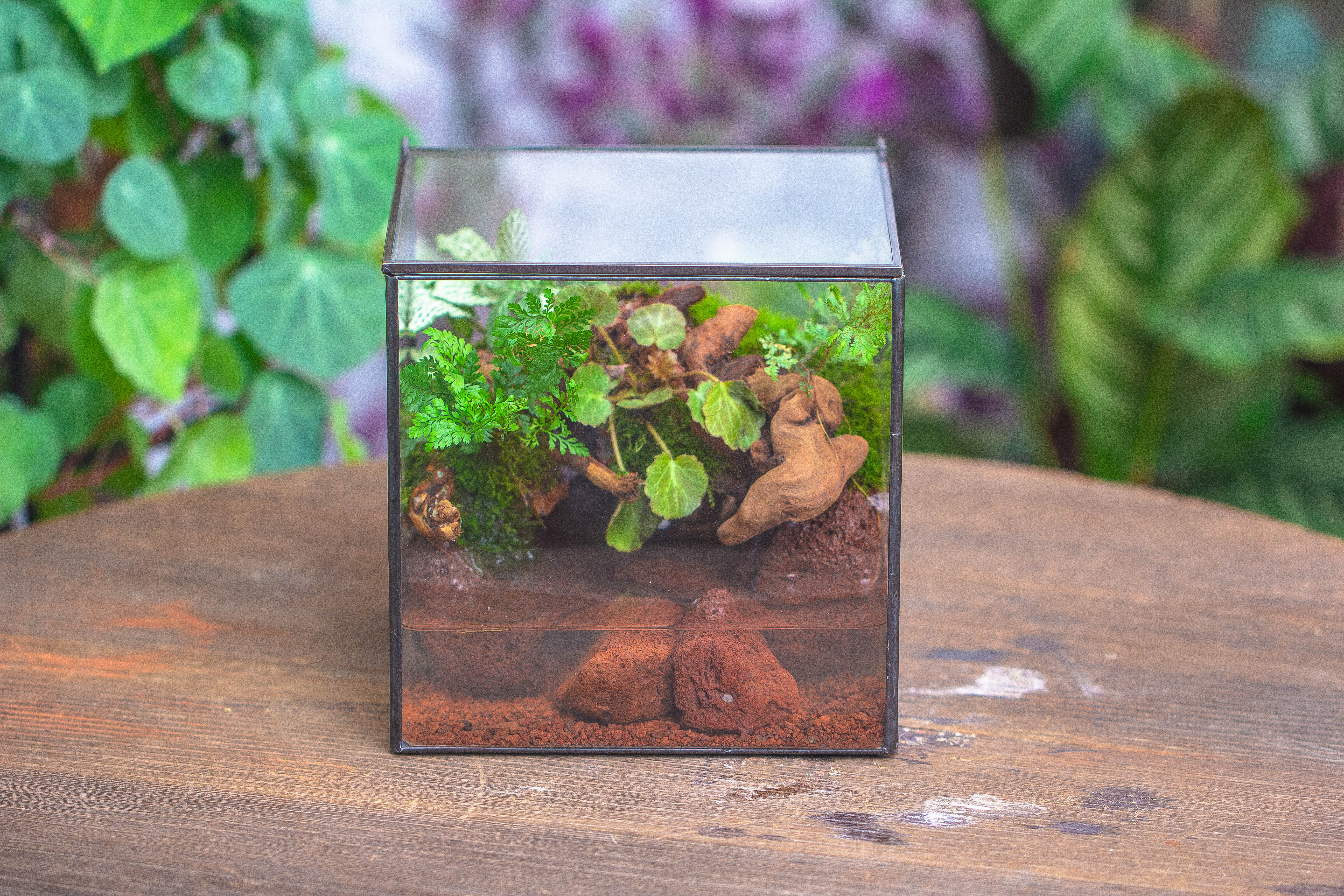 NCYP Watertight Close Cube 7" Geometric Glass Tin Terrarium, for small waterpond, moss landscape, Live Miniature, water pond, landscape - NCYPgarden