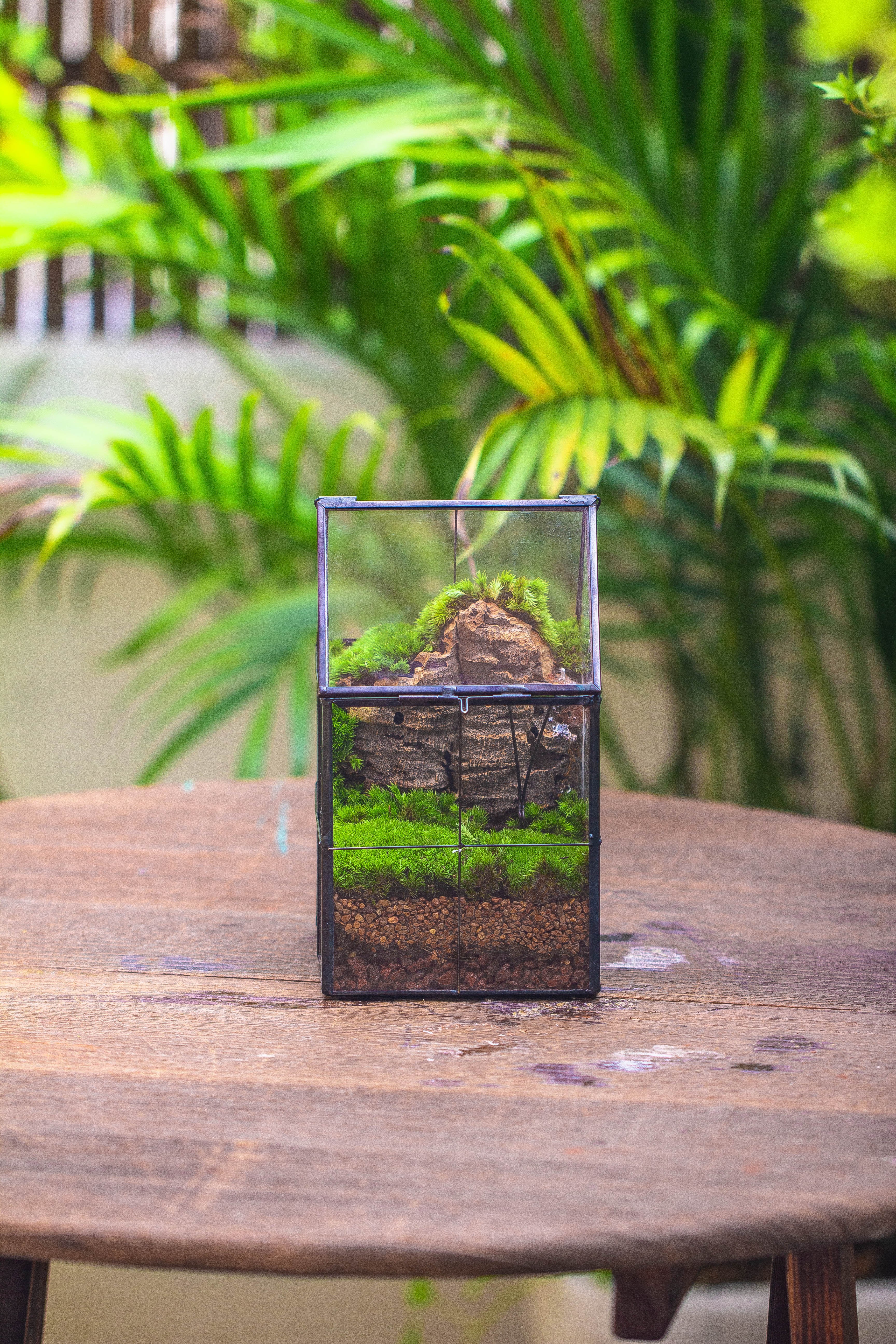 Handmade glass and tin close highe mini house shape close geometric terrarium for moss, succulents, Drosera - NCYPgarden