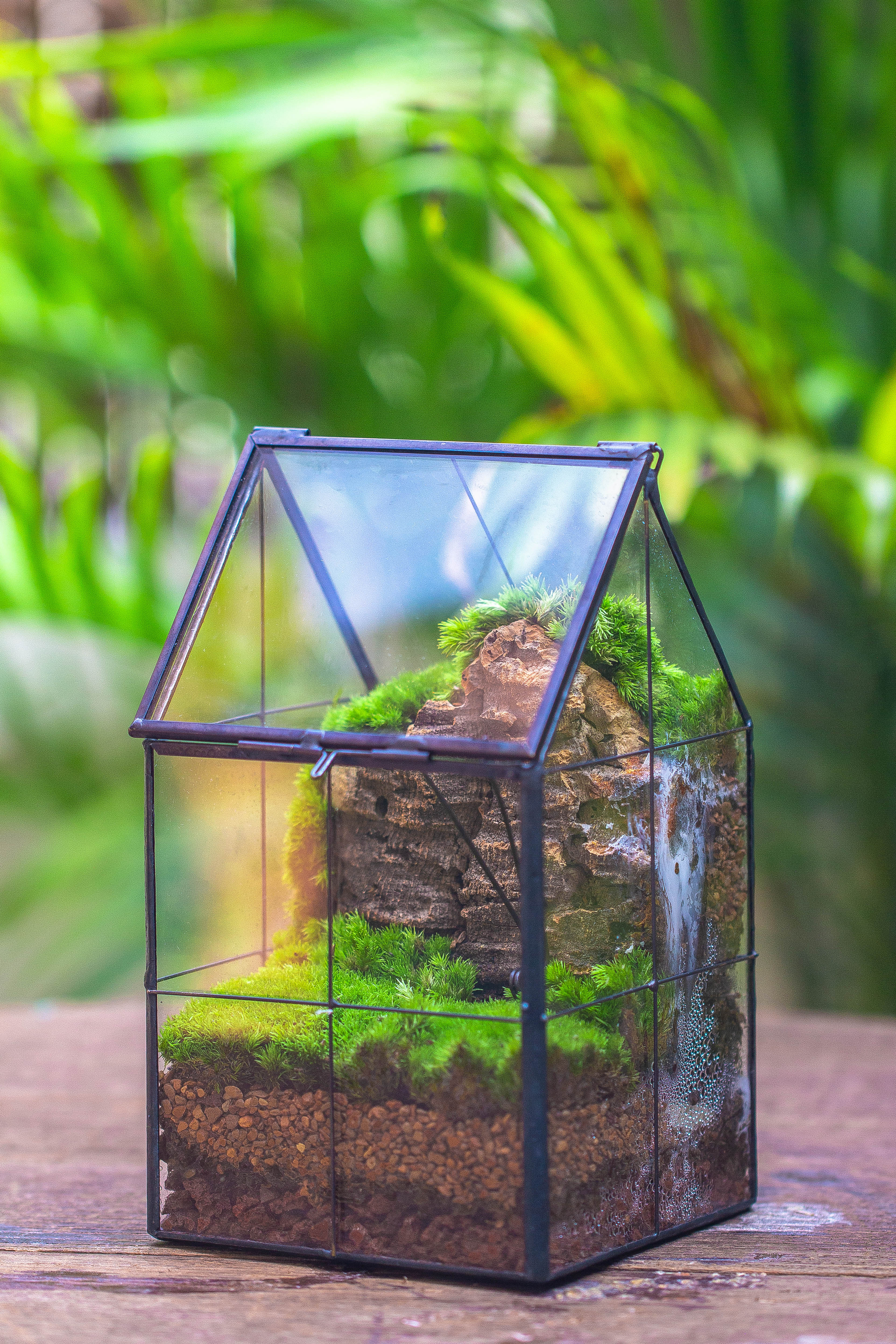 Handmade glass and tin close highe mini house shape close geometric terrarium for moss, succulents, Drosera - NCYPgarden