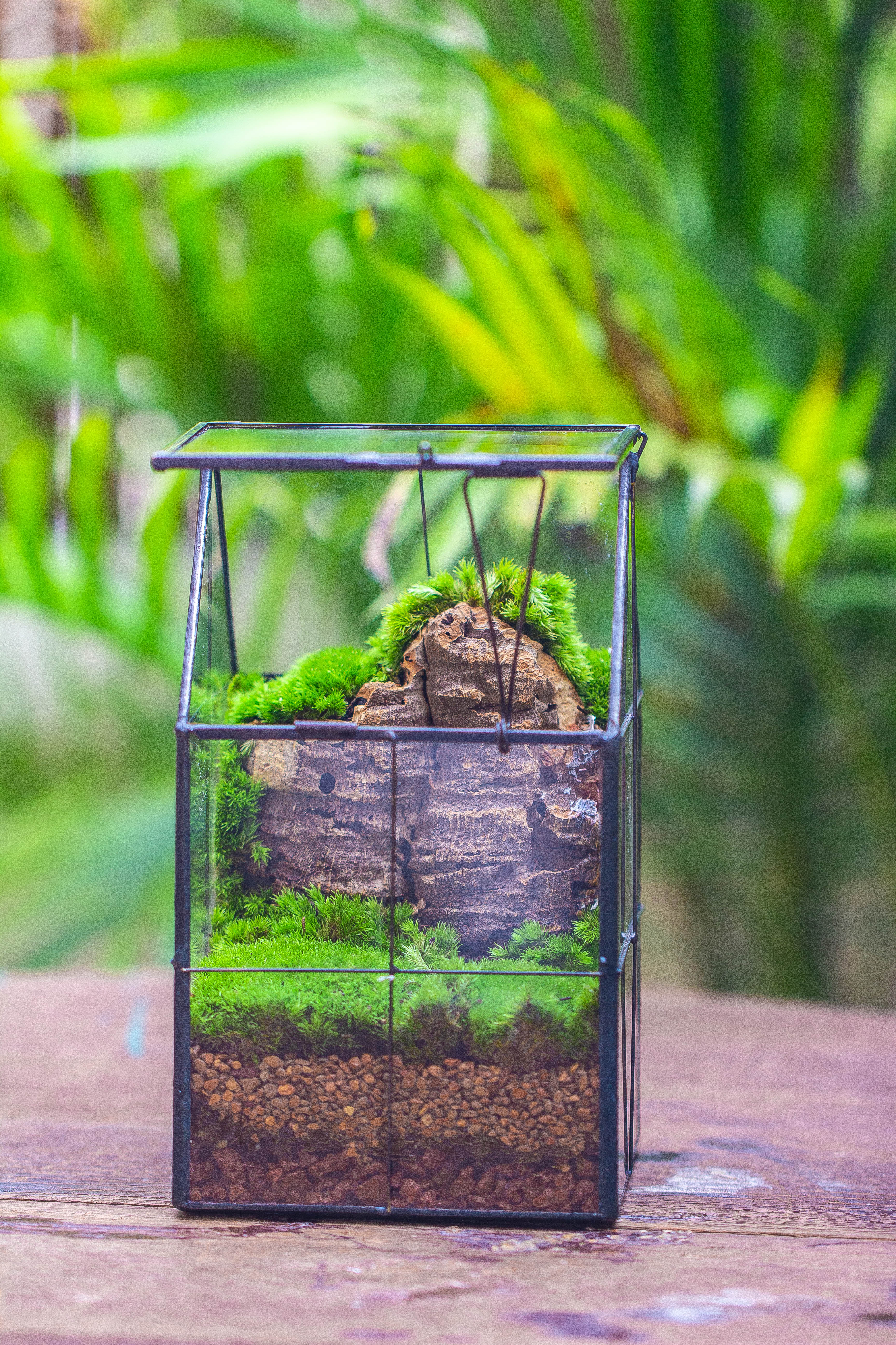 Handmade glass and tin close highe mini house shape close geometric terrarium for moss, succulents, Drosera - NCYPgarden