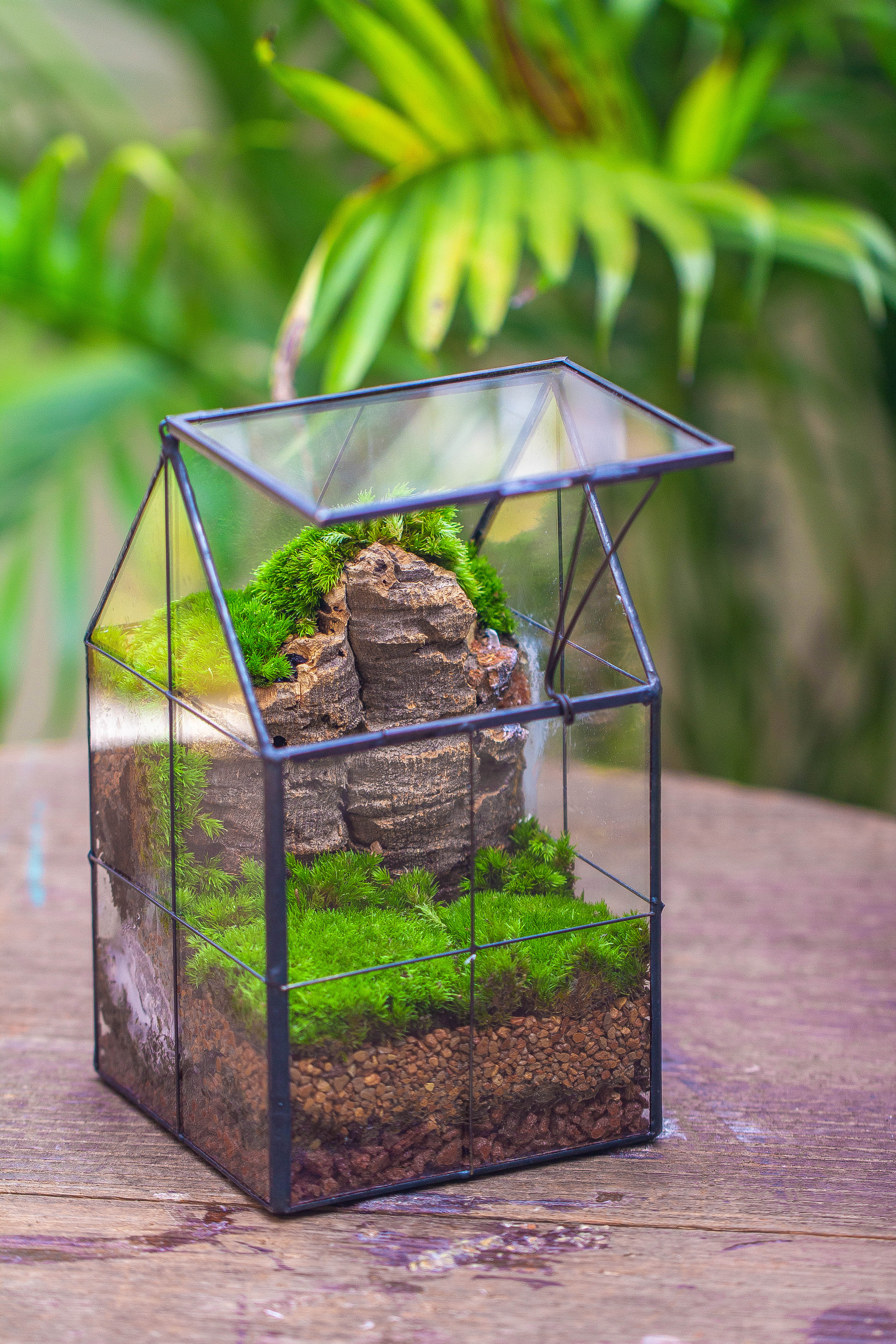 Handmade glass and tin close highe mini house shape close geometric terrarium for moss, succulents, Drosera - NCYPgarden
