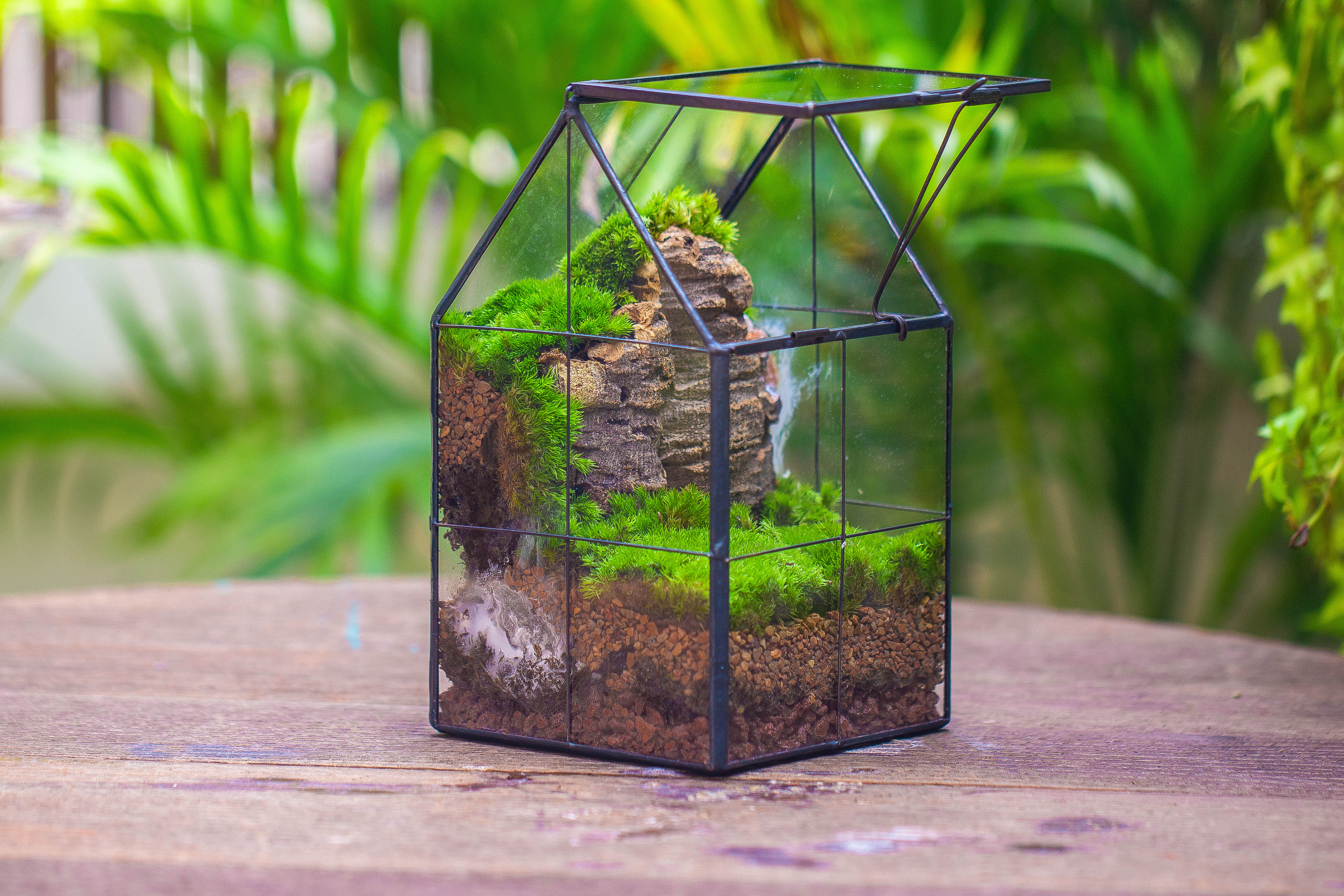 Handmade glass and tin close highe mini house shape close geometric terrarium for moss, succulents, Drosera - NCYPgarden