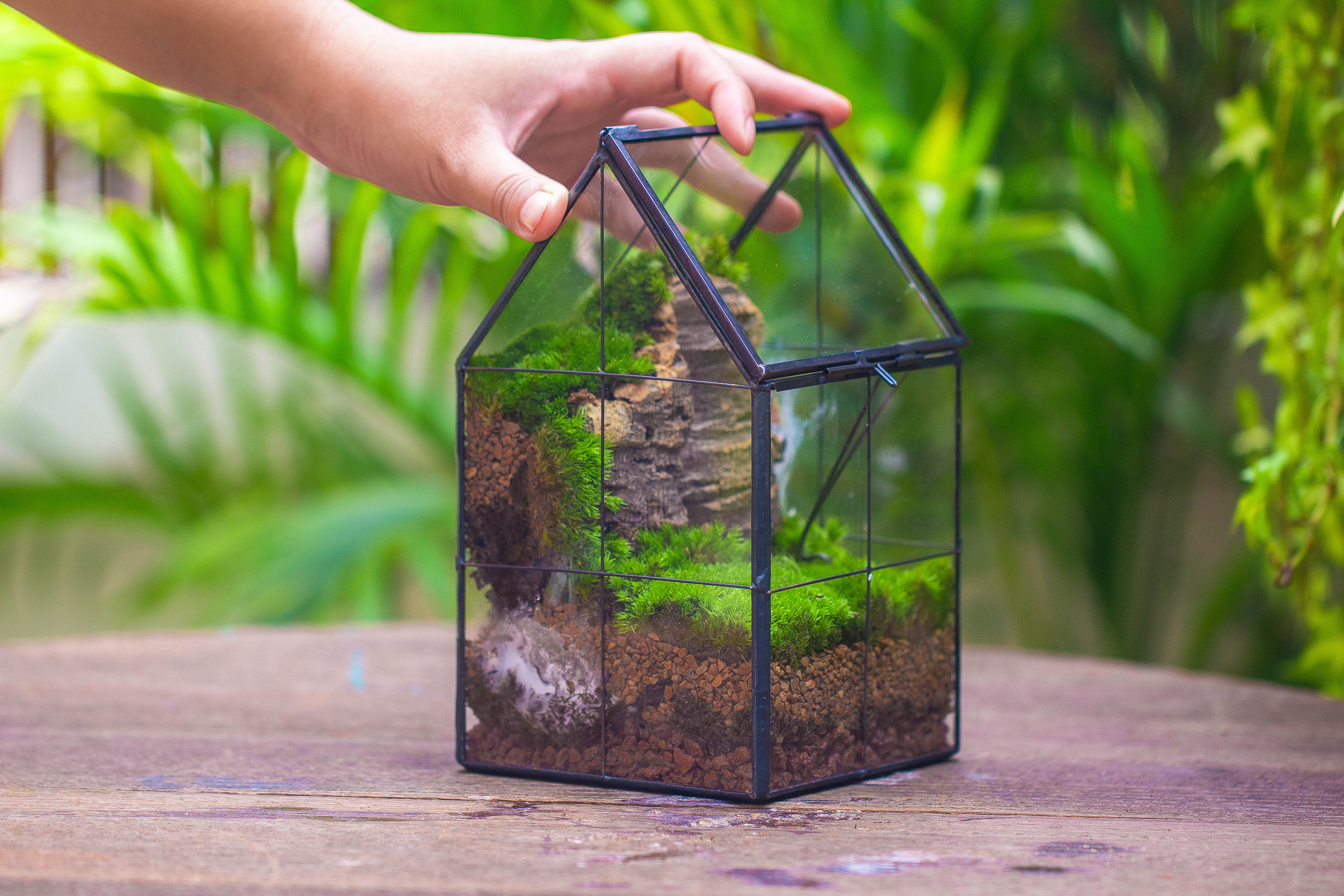 Handmade glass and tin close highe mini house shape close geometric terrarium for moss, succulents, Drosera - NCYPgarden