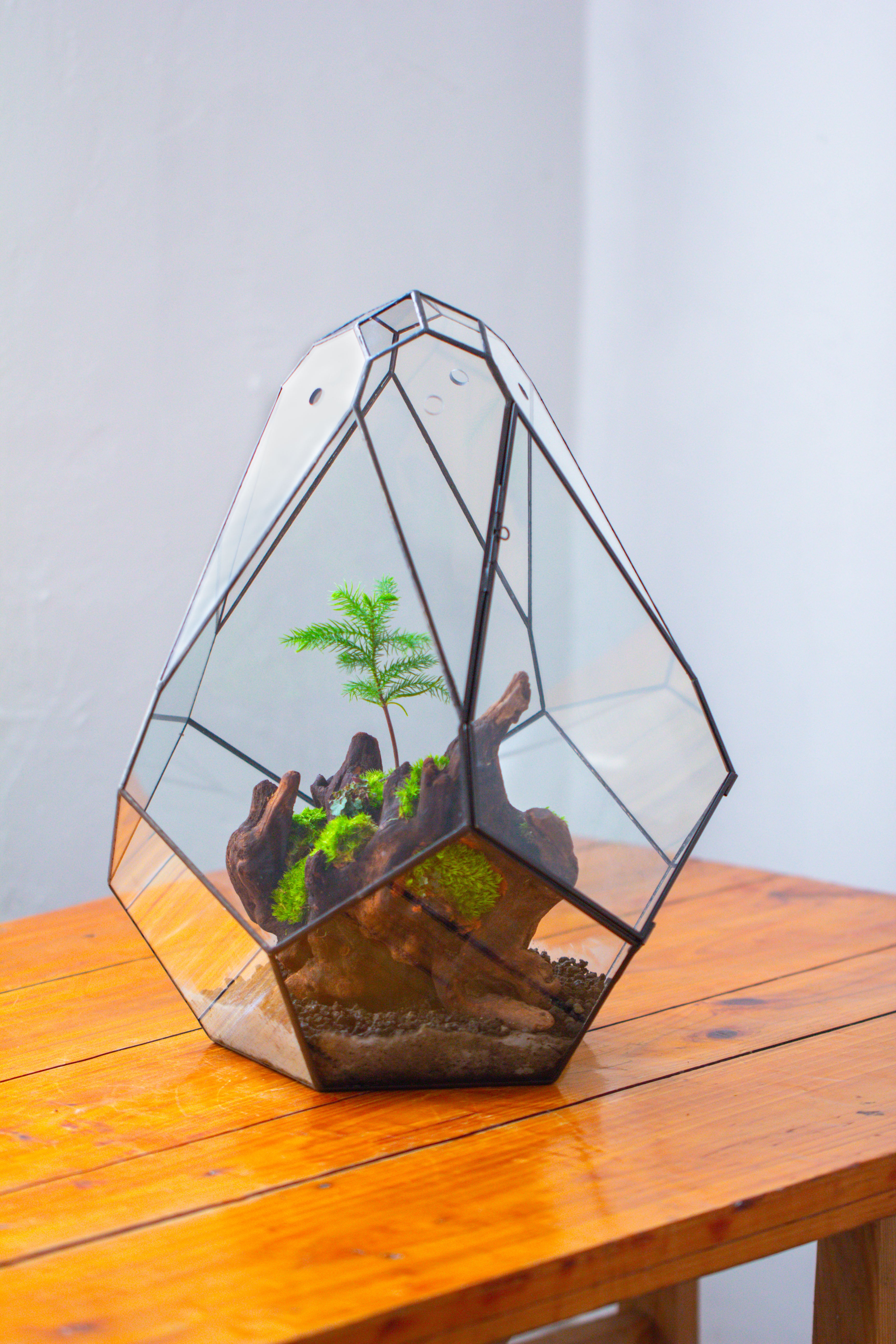 16" Large Teardrop Geometric Terrarium, close - NCYPgarden