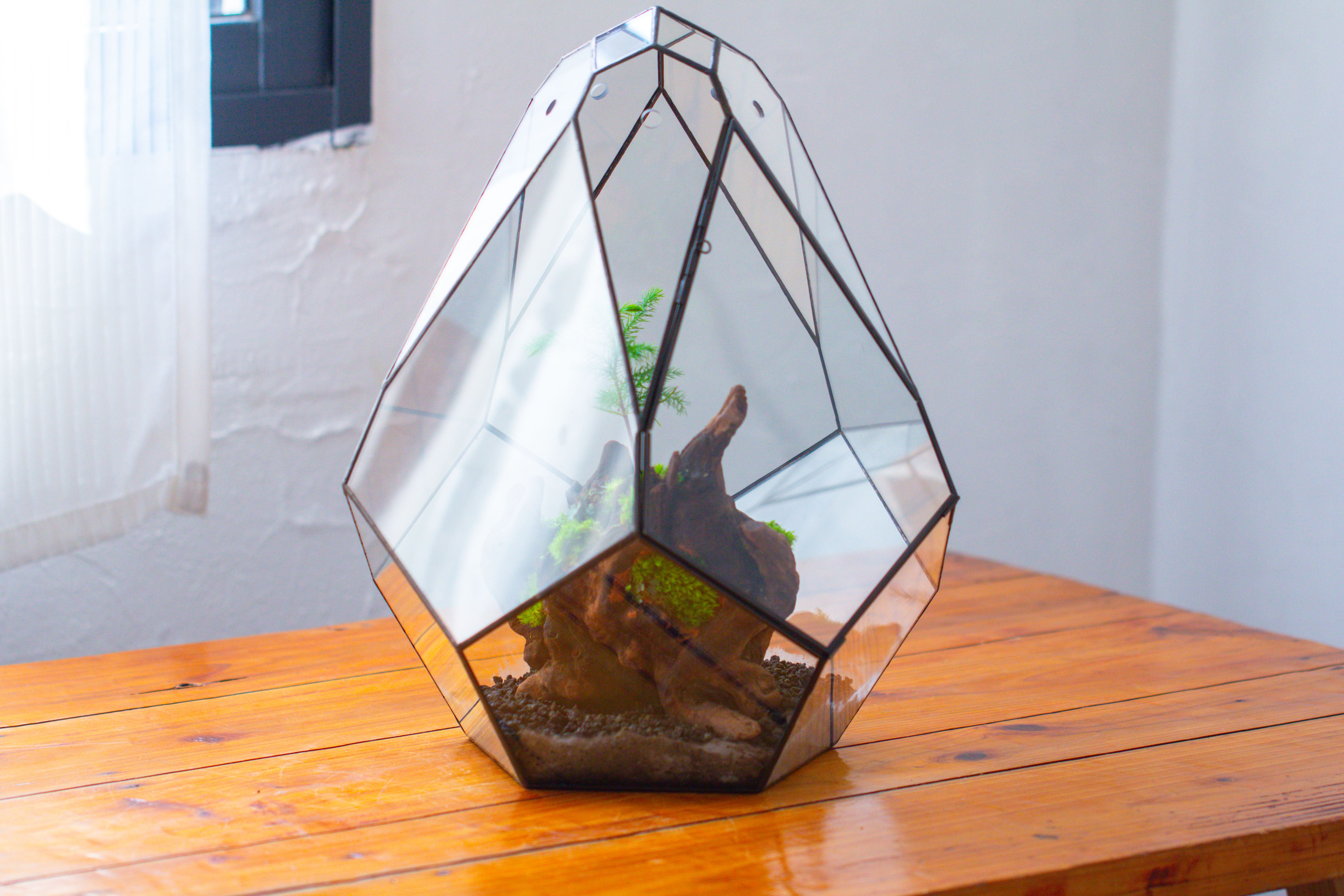 16" Large Teardrop Geometric Terrarium, close - NCYPgarden