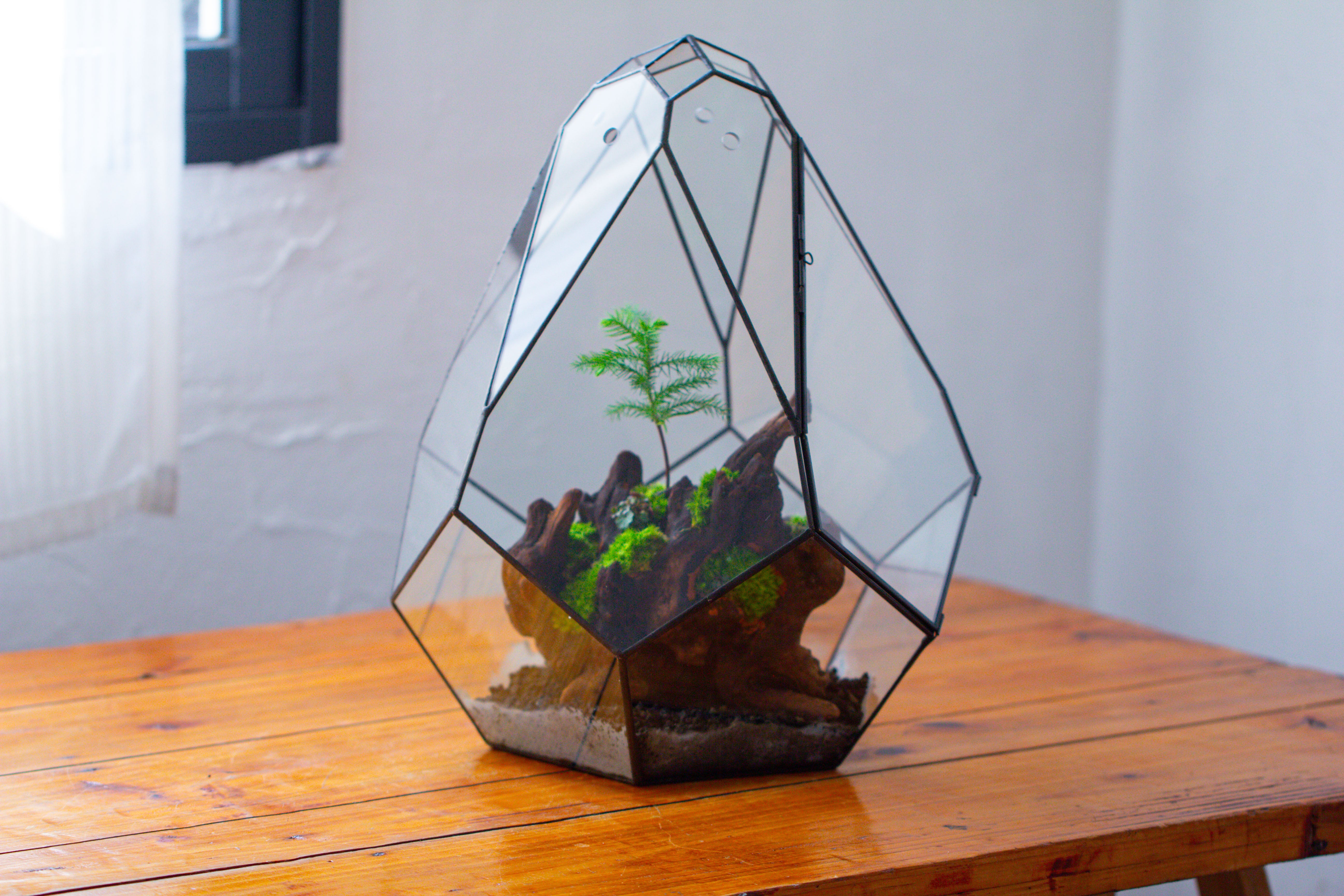 16" Large Teardrop Geometric Terrarium, close - NCYPgarden